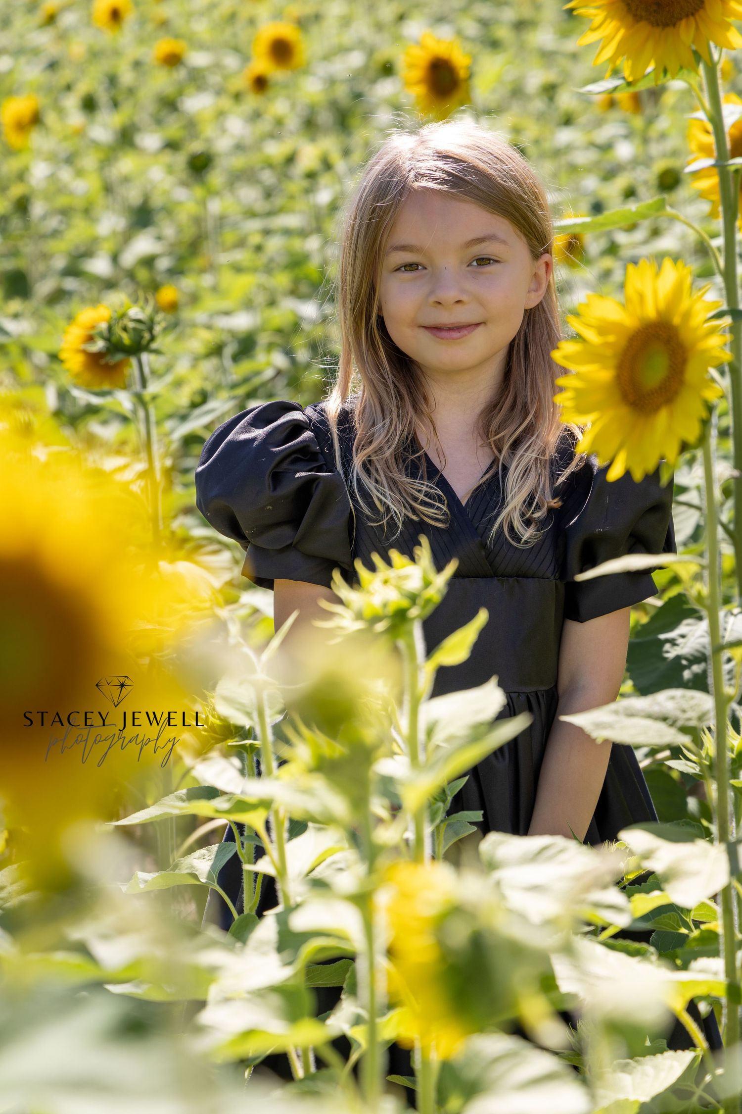 Lifestyle portrait of a young blonde girl in sunflower fields