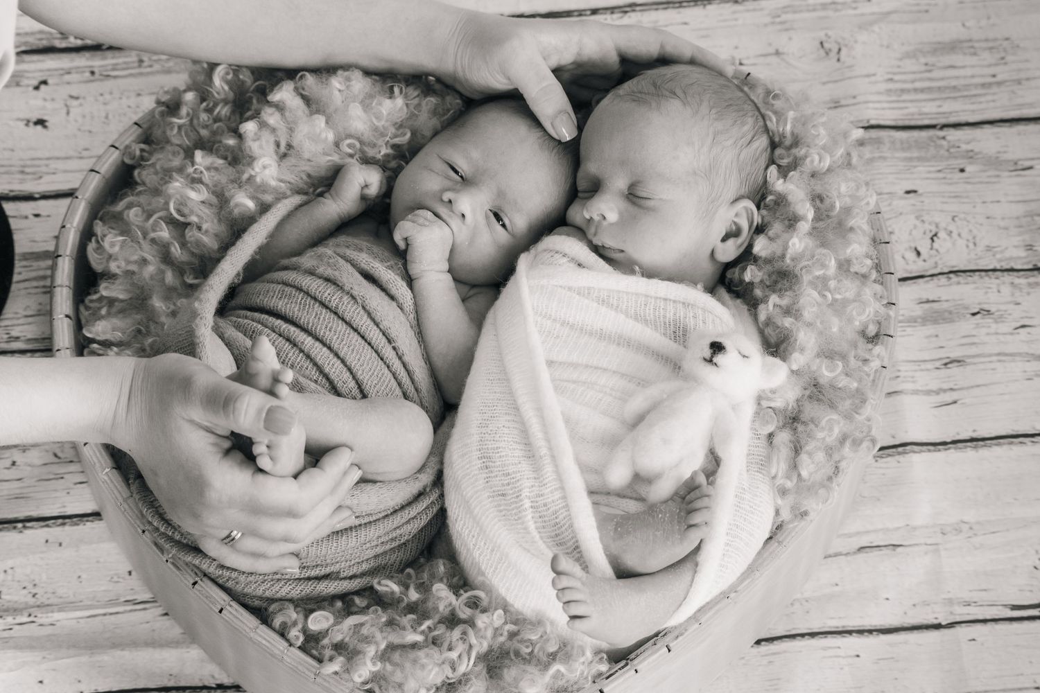 newborn photo
