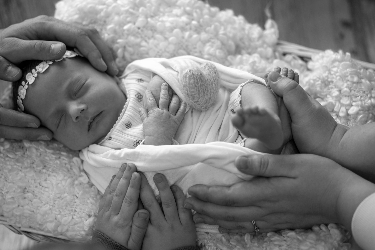 nowborn photo