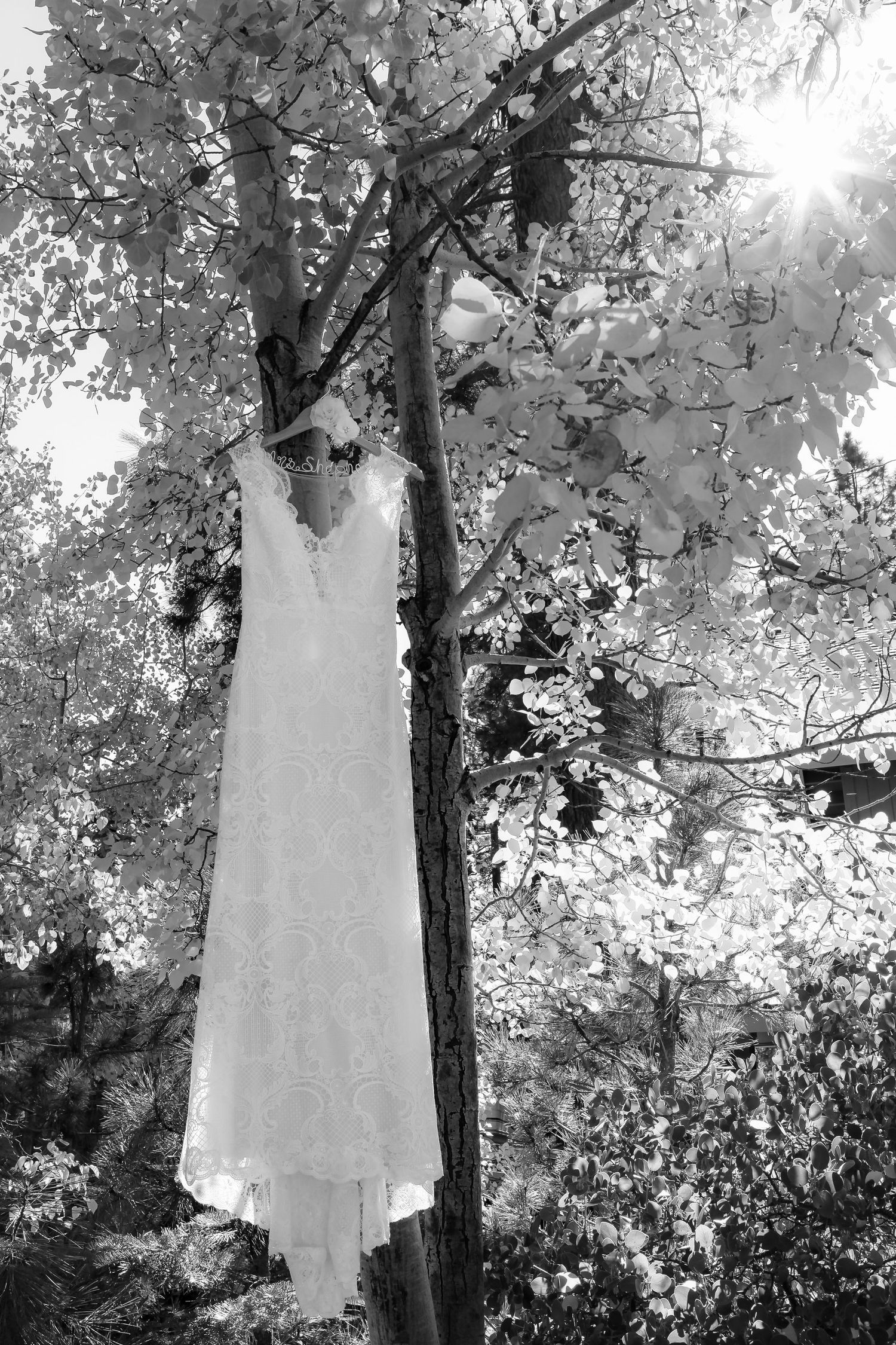 White wedding dress hanging in trees with sunlight filtering through autumn leaves.