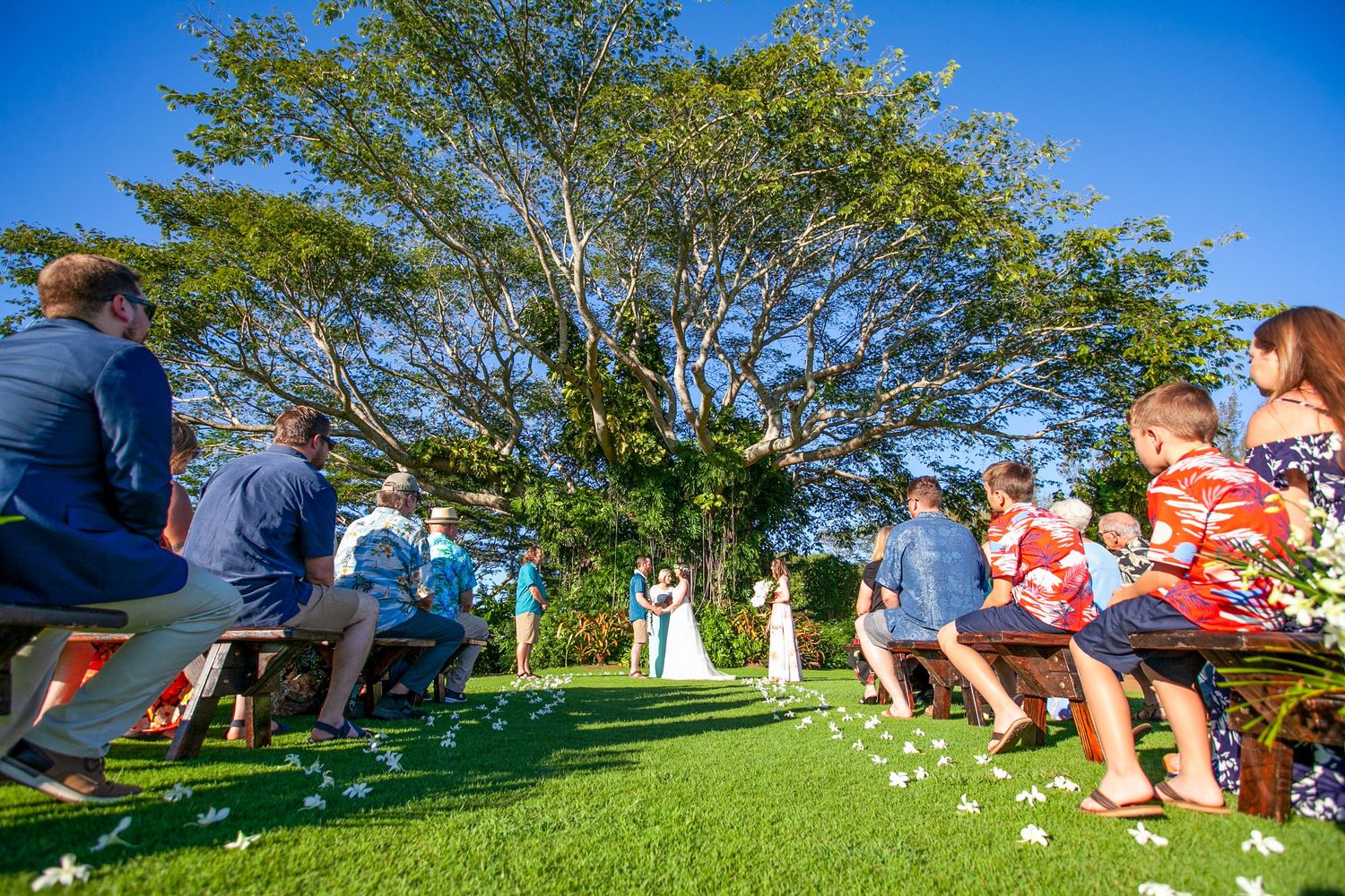 Wedding guests enjoying outdoor lawn games during a sunny celebration in Kauai.