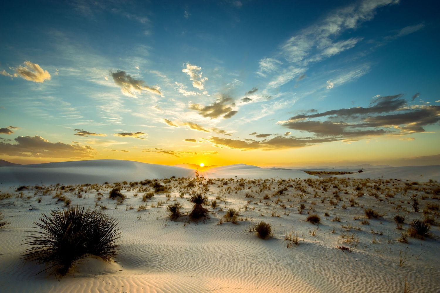 Landscape photography of panoramic desert sunset over white sand dunes with scattered vegetation in foreground.