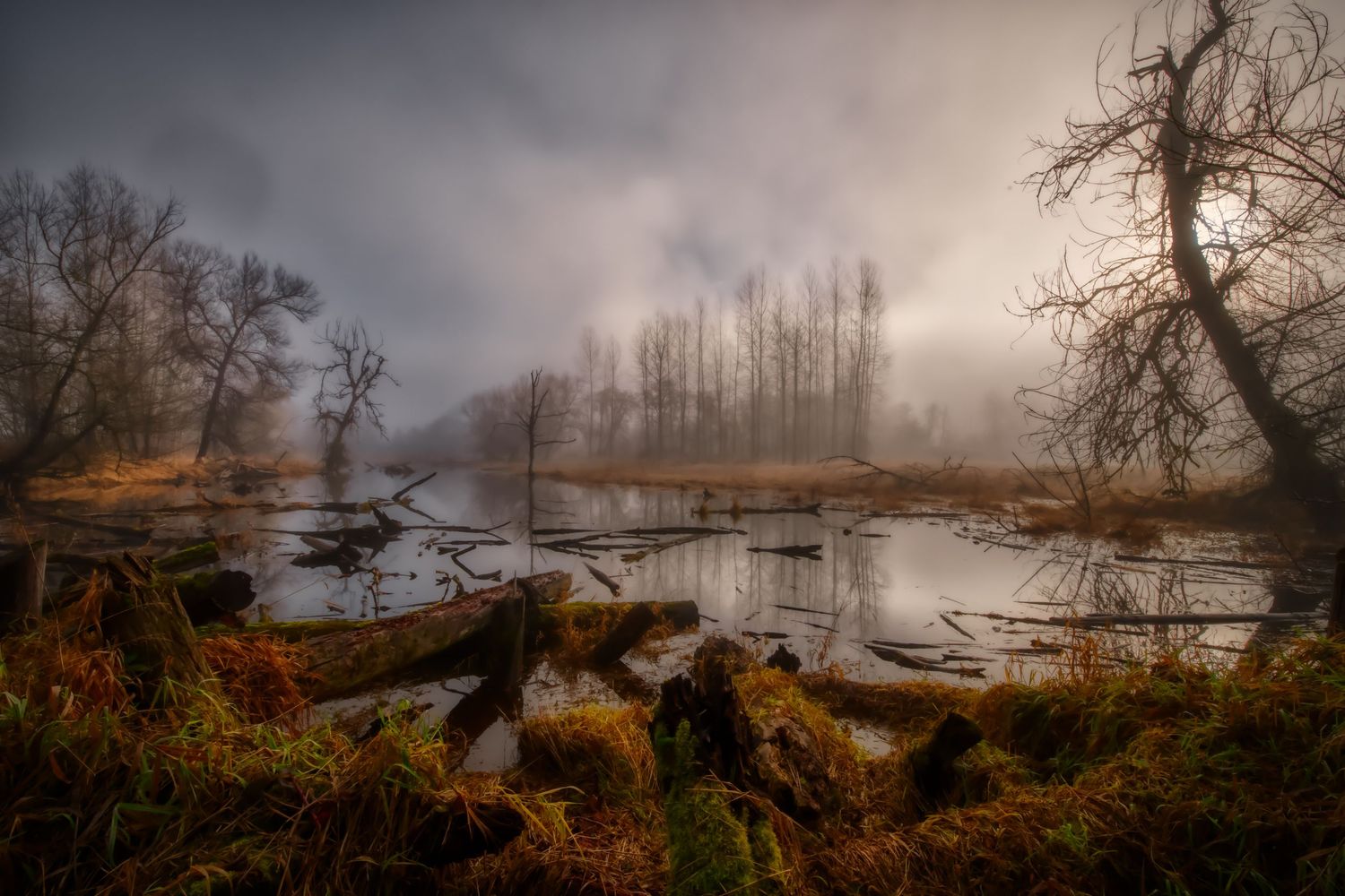 Pacific Northwest landscape photography of misty lake with bare trees reflecting in still water during autumn.