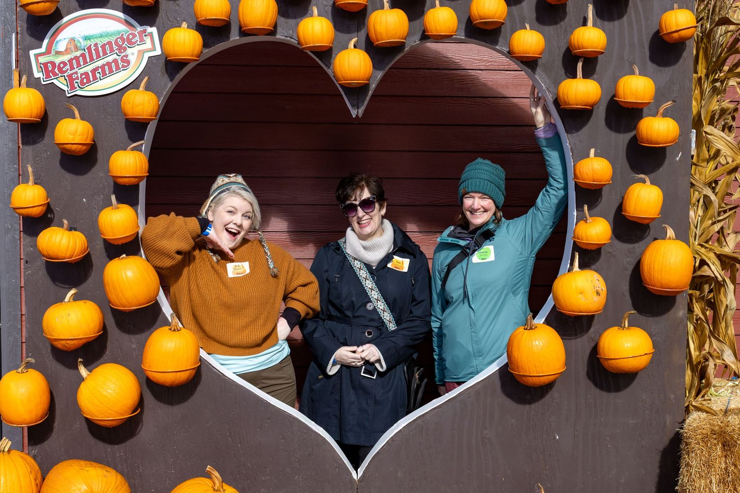 Corporate Event photograph of employee's orange jack-o'-lanterns with festive fall decorations.