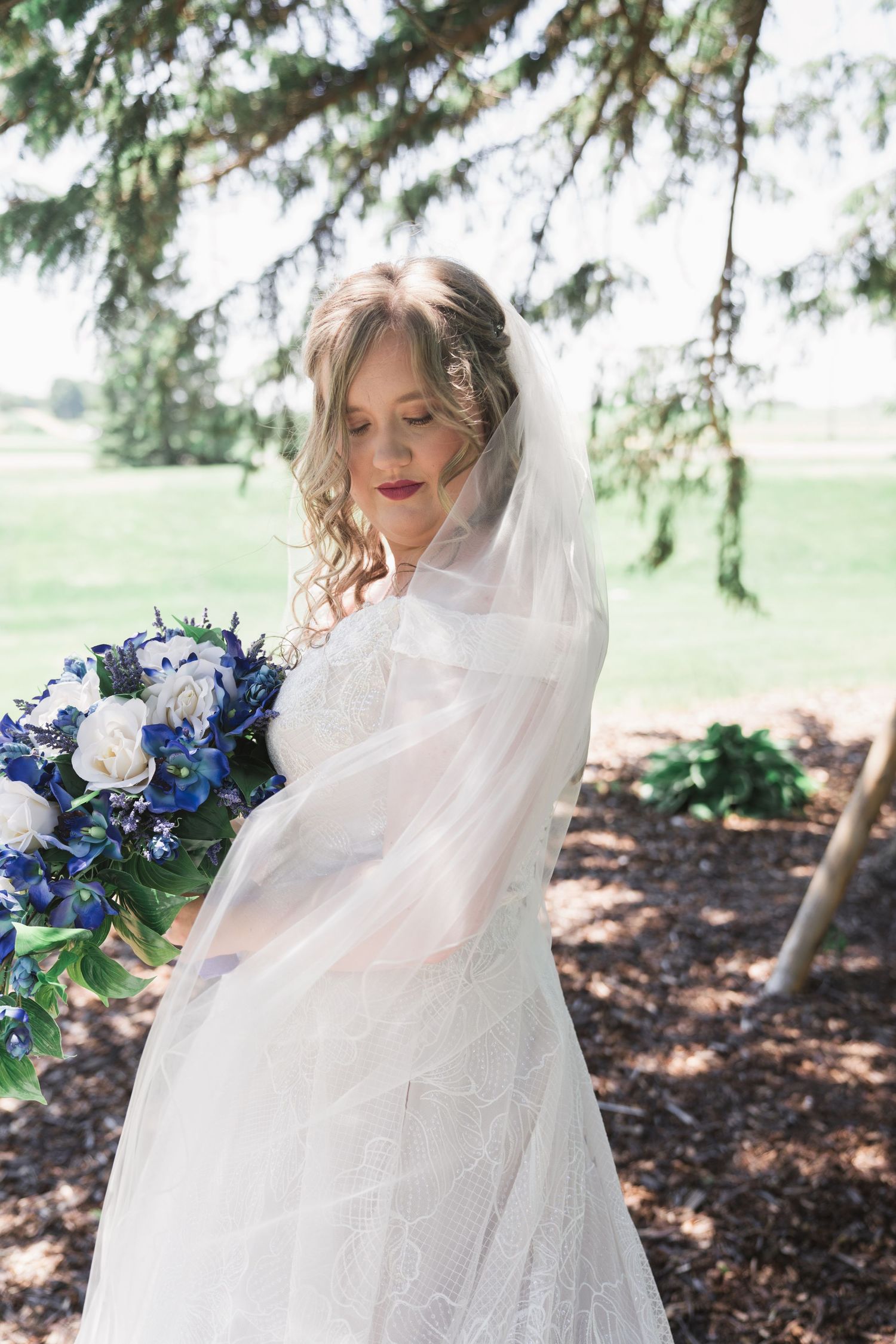 Bride in lace gown and veil looking down at blue and white bouquet under pine tree.
