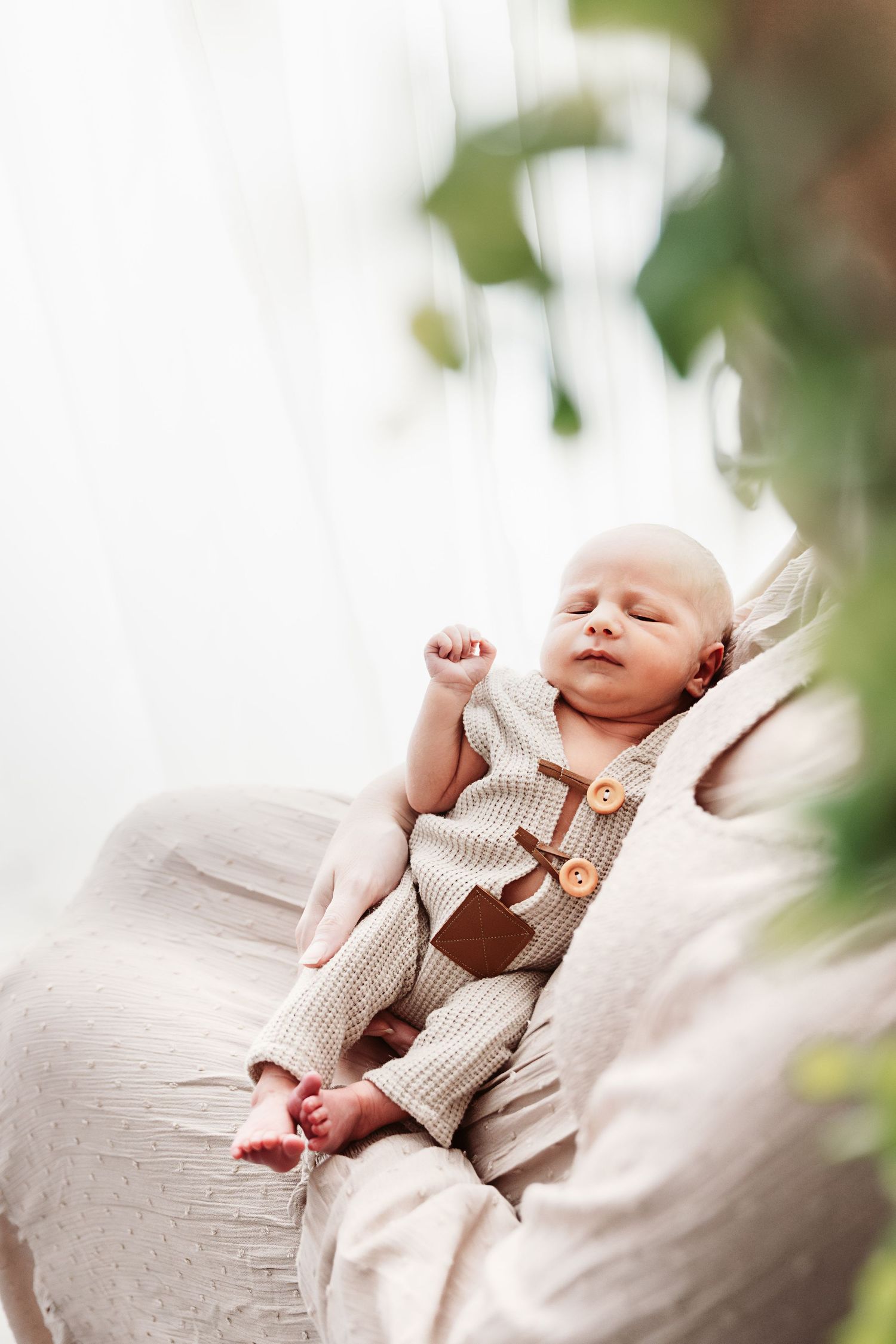 Peaceful newborn baby sleeping in a knit onesie cradled in a soft beige chair surrounded by greenery.