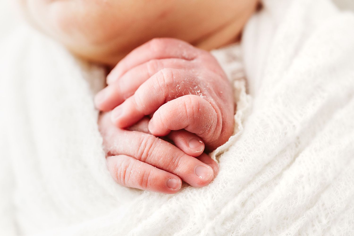 Close-up of newborn baby tiny wrinkled hands and fingers wrapped in soft white swaddle.