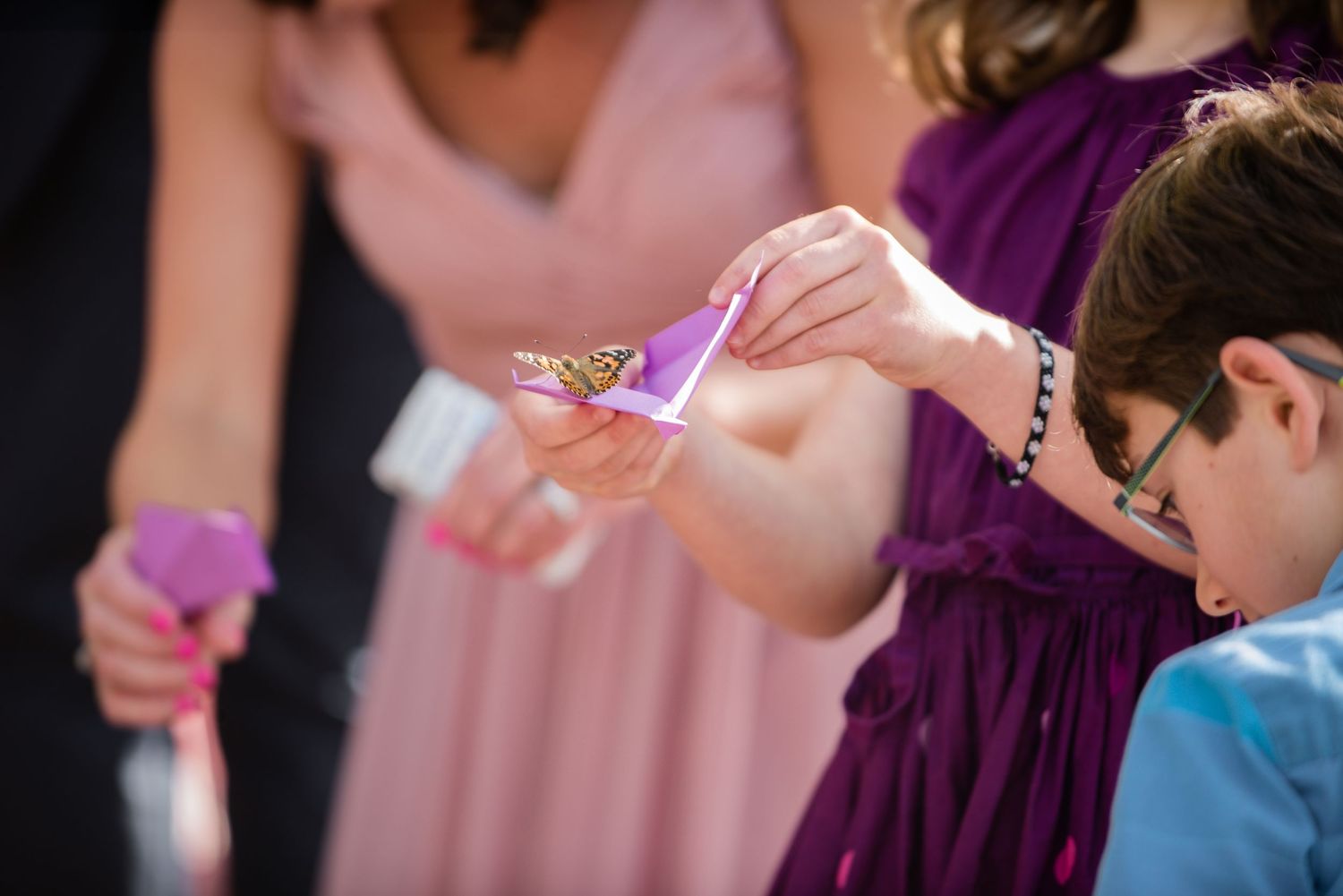 Child releasing a butterfly at a wedding ceremony, surrounded by guests in purple bridesmaid dresses.