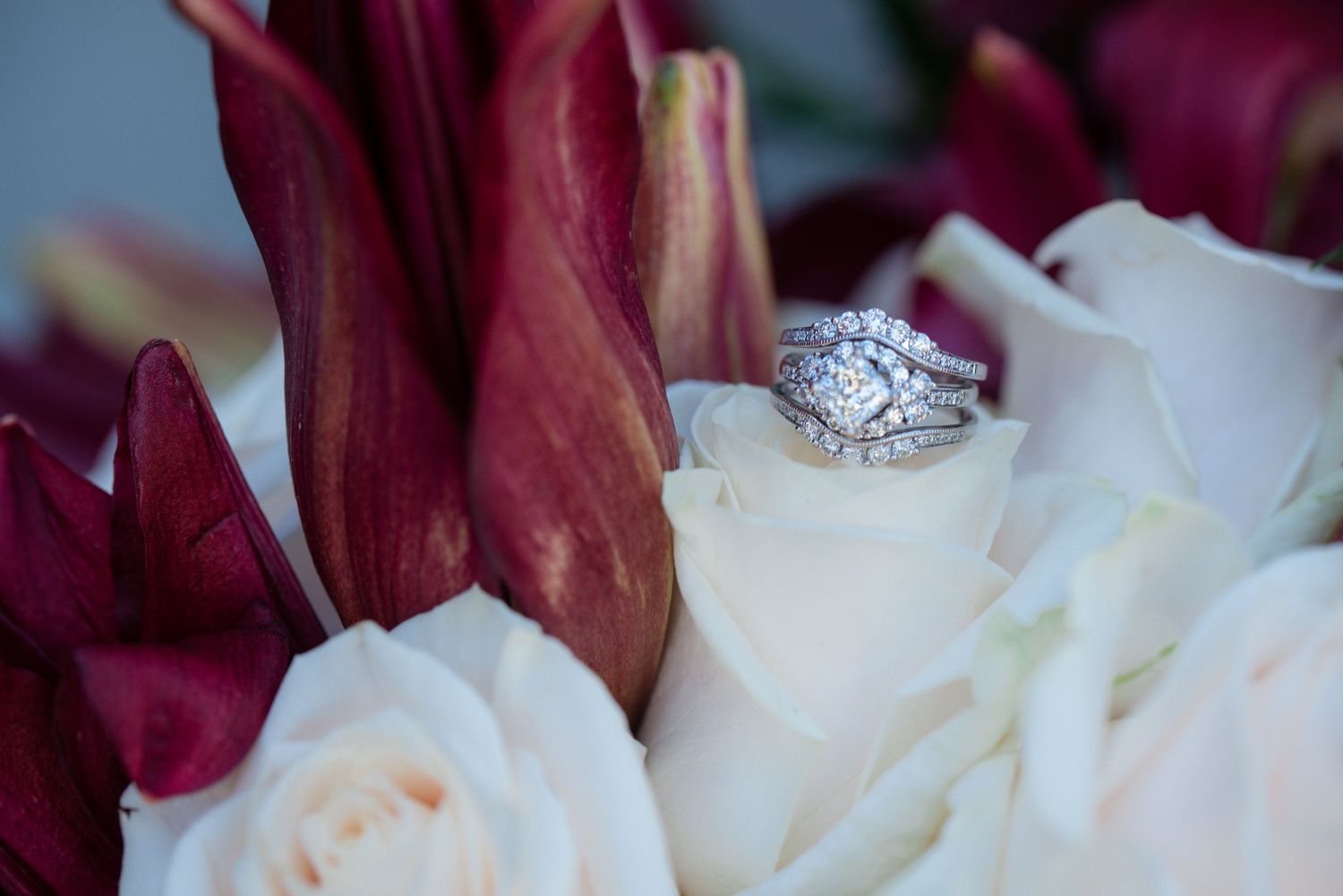 Elegant diamond wedding ring set resting on white roses and dark red calla lilies in a bridal bouquet.