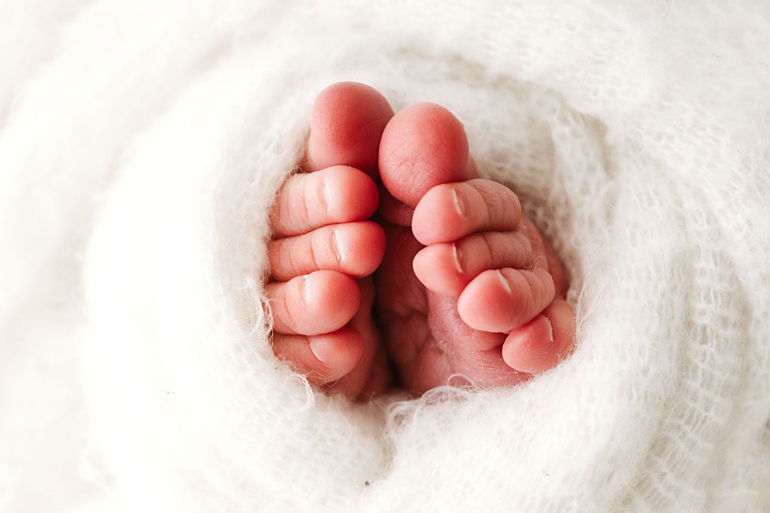 Newborn baby's tiny toes wrapped snugly in a soft white knit blanket.