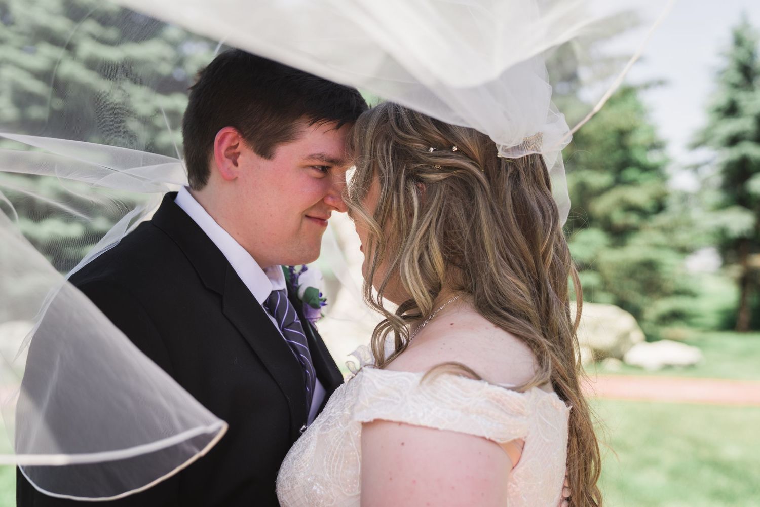 Bride and groom touching foreheads romantically under flowing white veil at outdoor wedding.