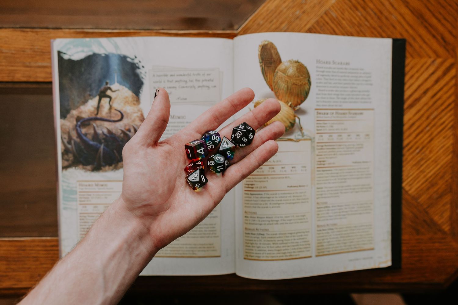 dice in hand above D&D source book