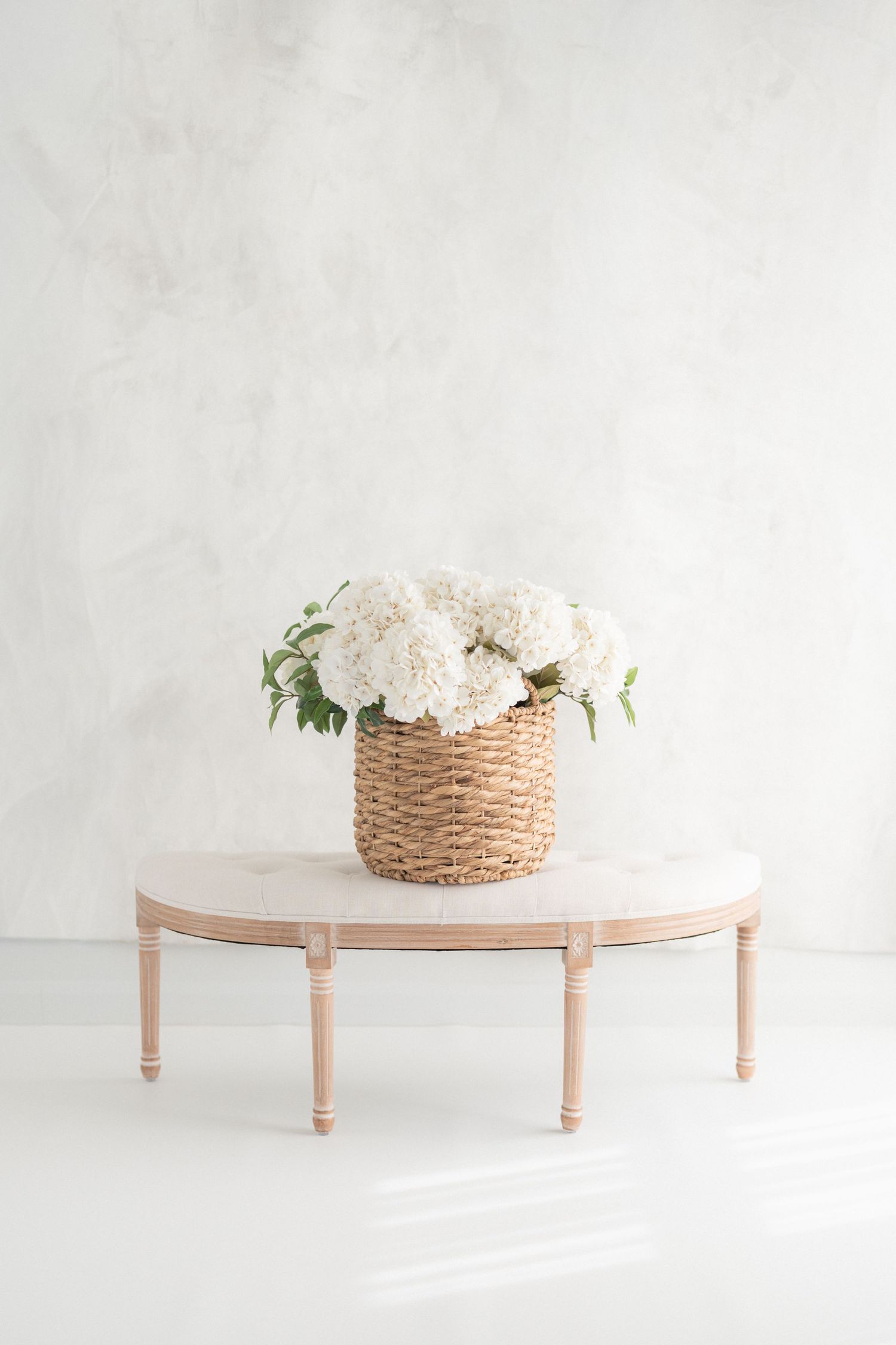 Studio photographie près de Québec, canevas peint à la main fine art, bouquets d'hydrangées dans un panier de rotin et banc bois et crème