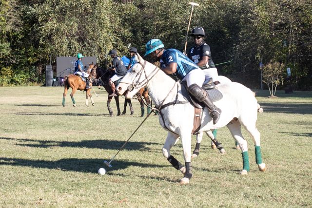 Players compete in an intense polo match on a sunny grass field as horses gallop across the playing area.