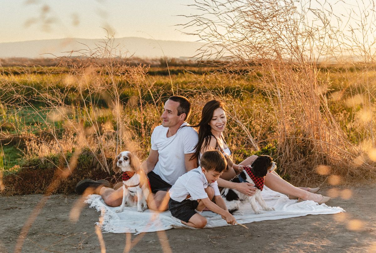 Relaxing on a blanket in a golden field at sunset with dogs during Fremont, CA family photography fall session.
