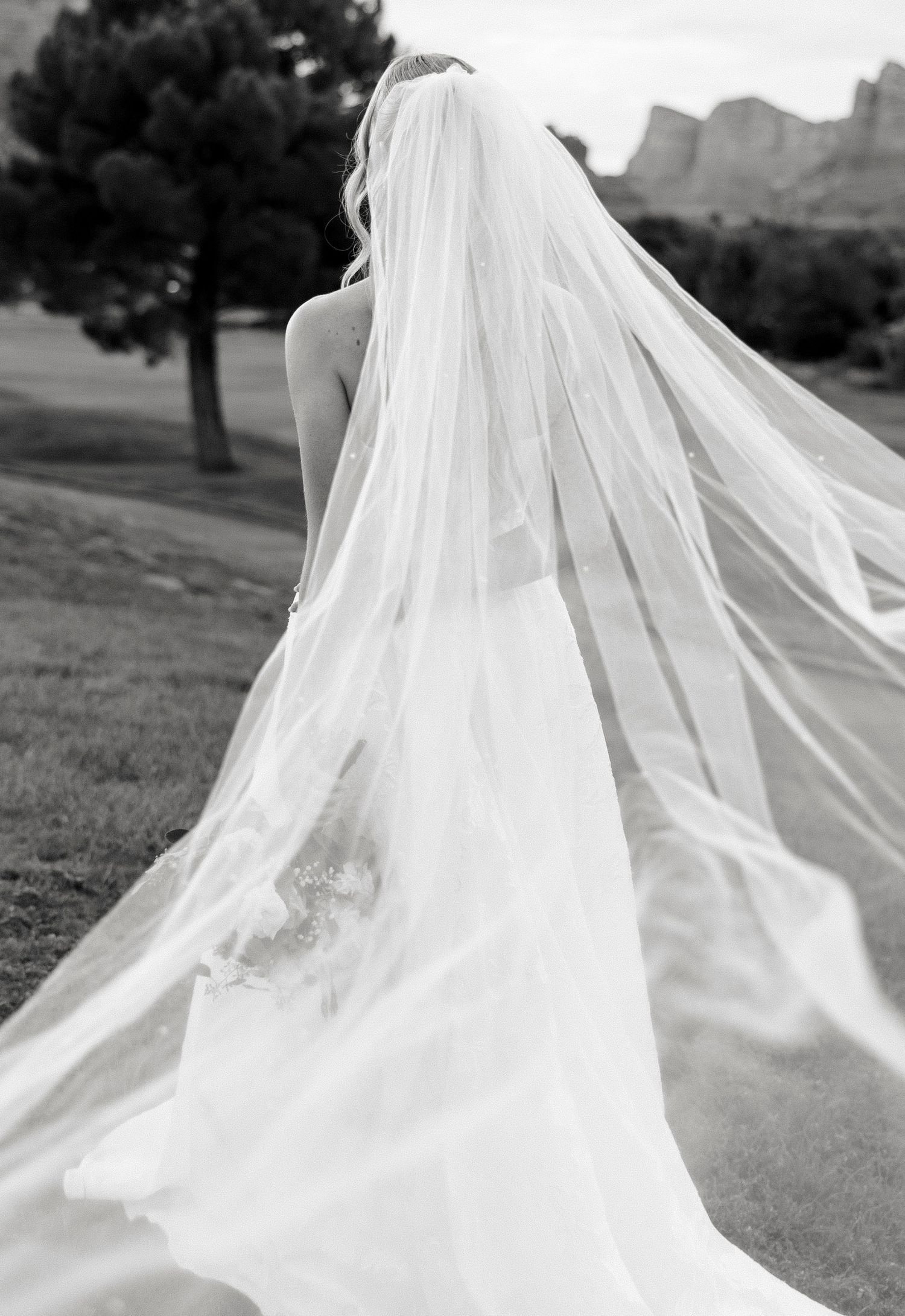 Black and white photo of a bride in a flowing wedding gown with a dramatic cathedral veil outdoors.