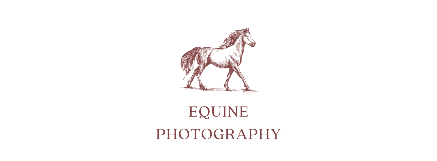 Red silhouette logo of a horse on black background for equine photography branding.