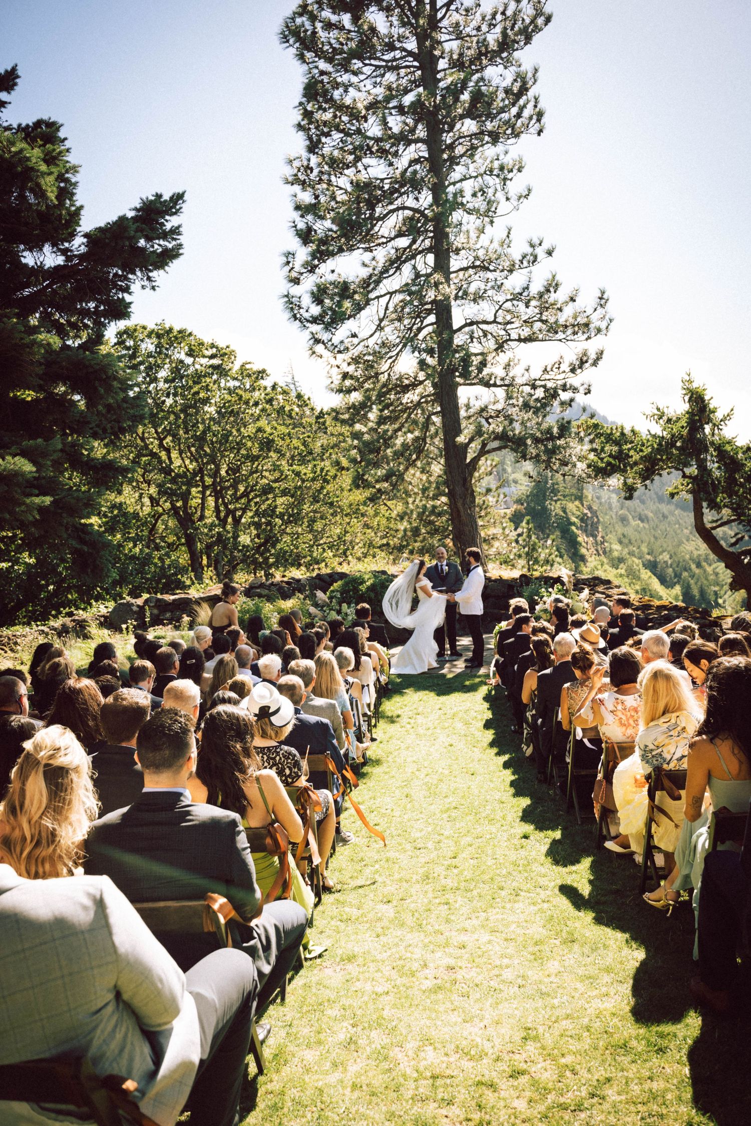 Wedding guests seated on both sides of a grassy aisle watch a couple exchange vows beneath tall evergreen trees at an outdoor ceremony.
