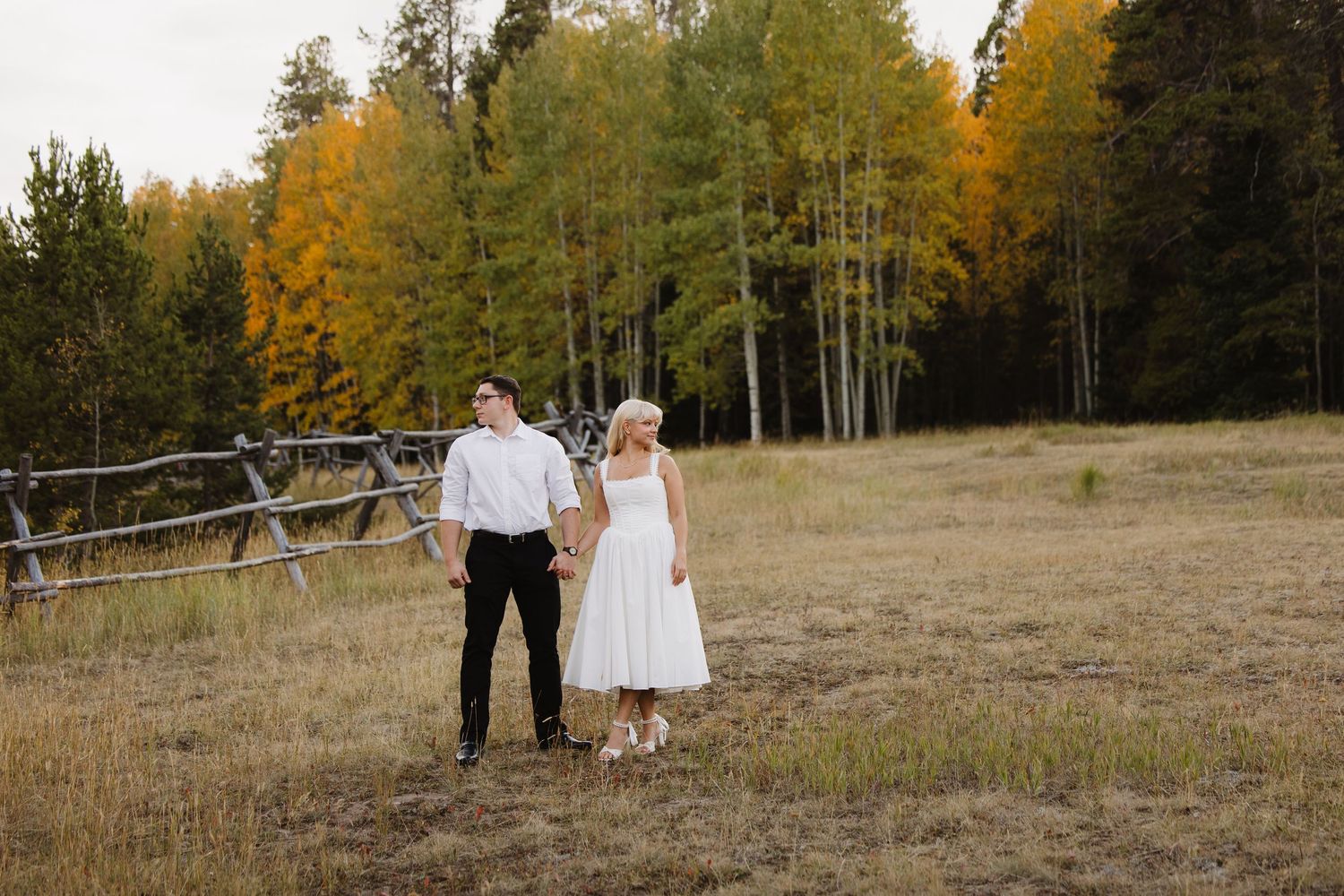 Bride and groom hold hands in autumn meadow with golden aspen trees and rustic fence backdrop.