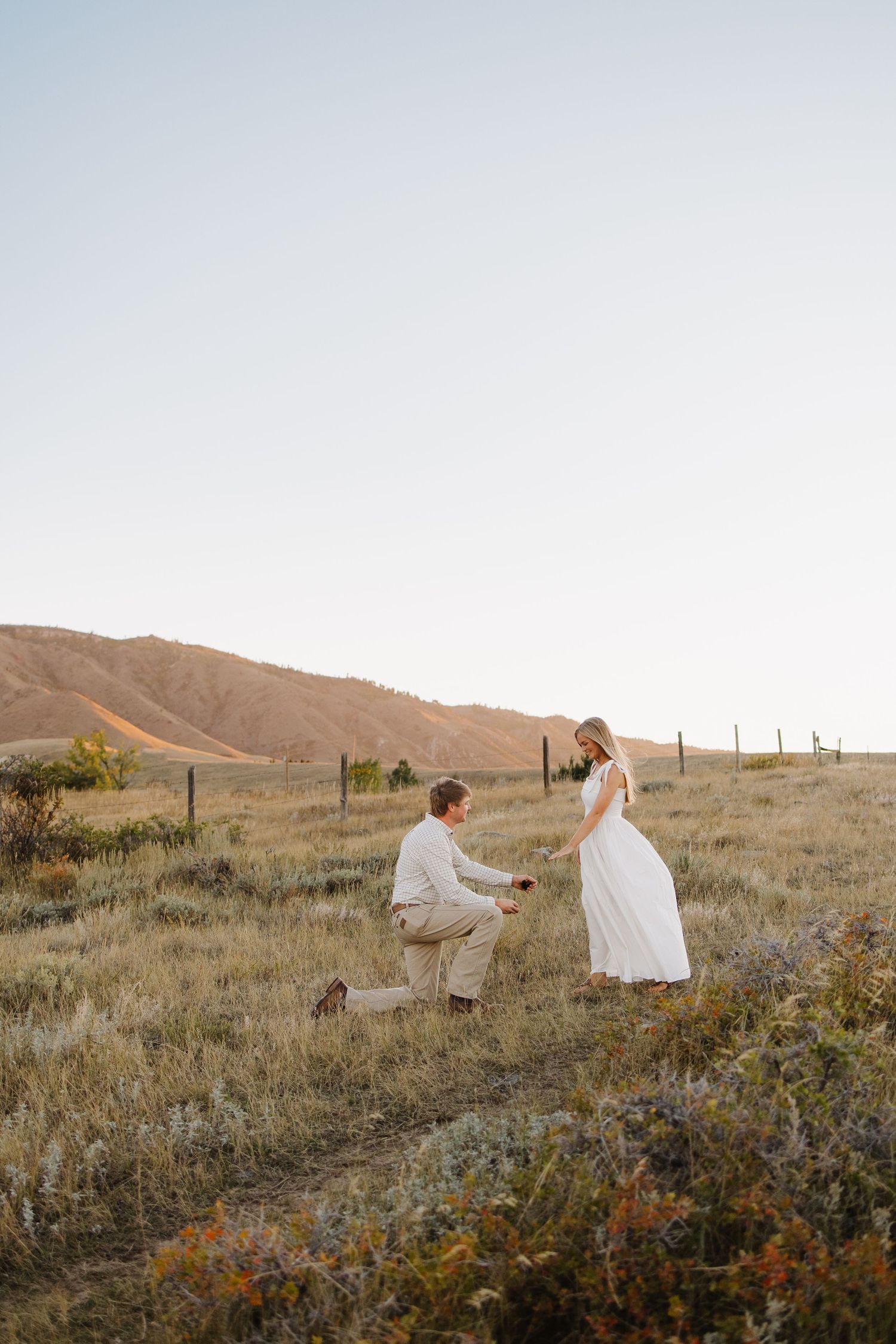 Groom kneels on one knee proposing to bride in white dress in a scenic golden grass field at dusk.