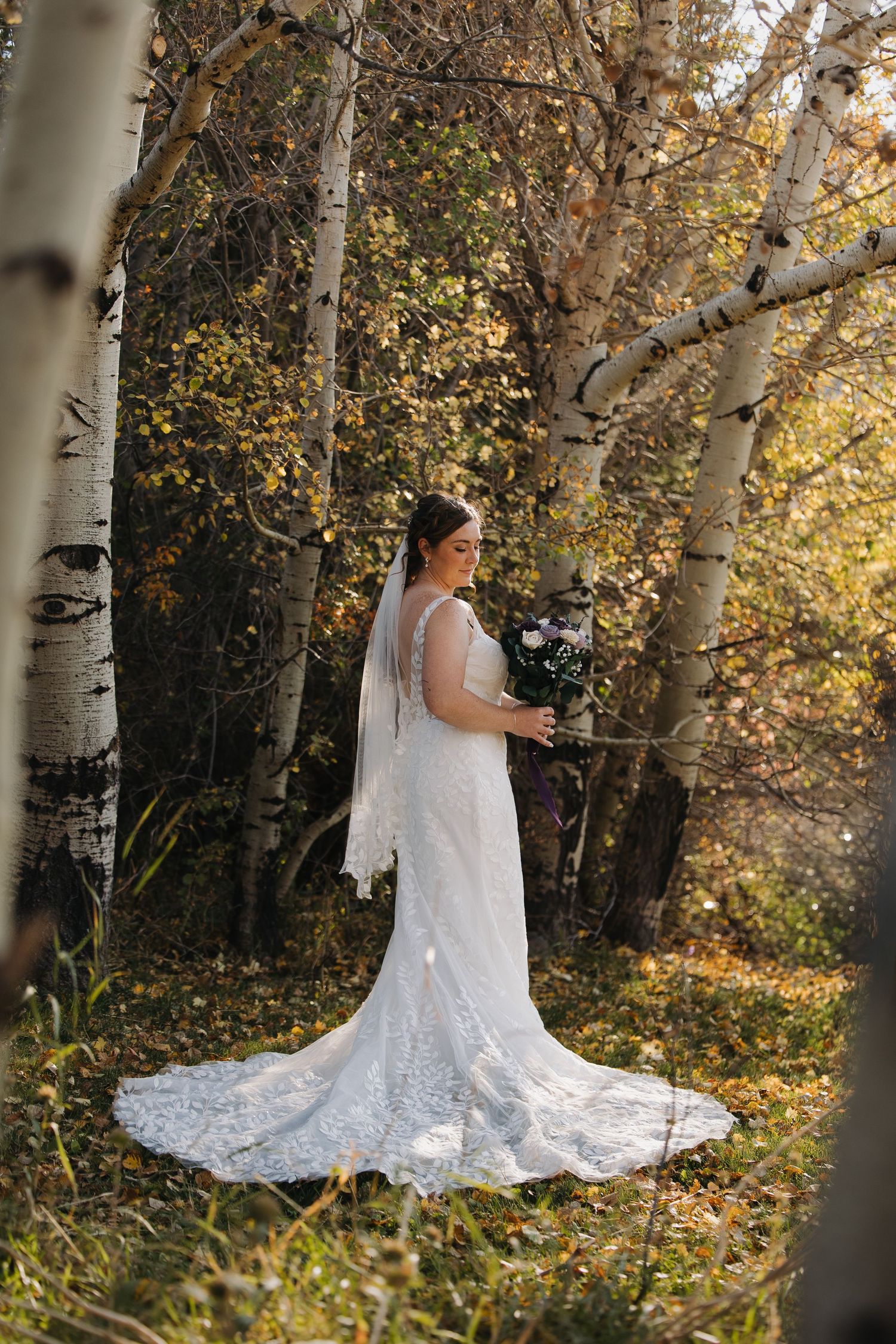 Bride in lace wedding gown with long train stands among golden autumn aspen trees. Wyoming wedding