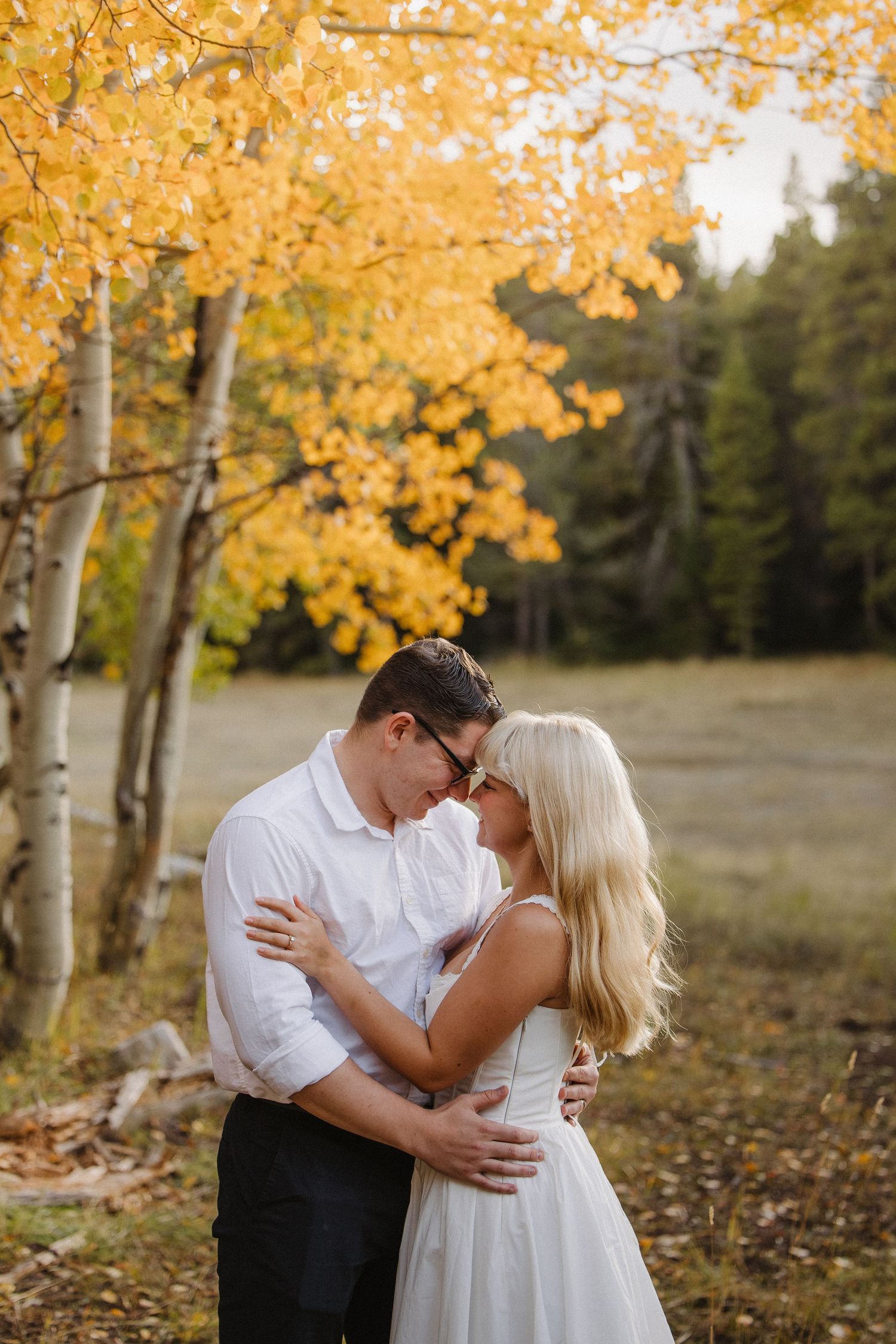Bride and groom touch foreheads romantically beneath golden yellow aspen trees in autumn forest. Wyoming wedding.