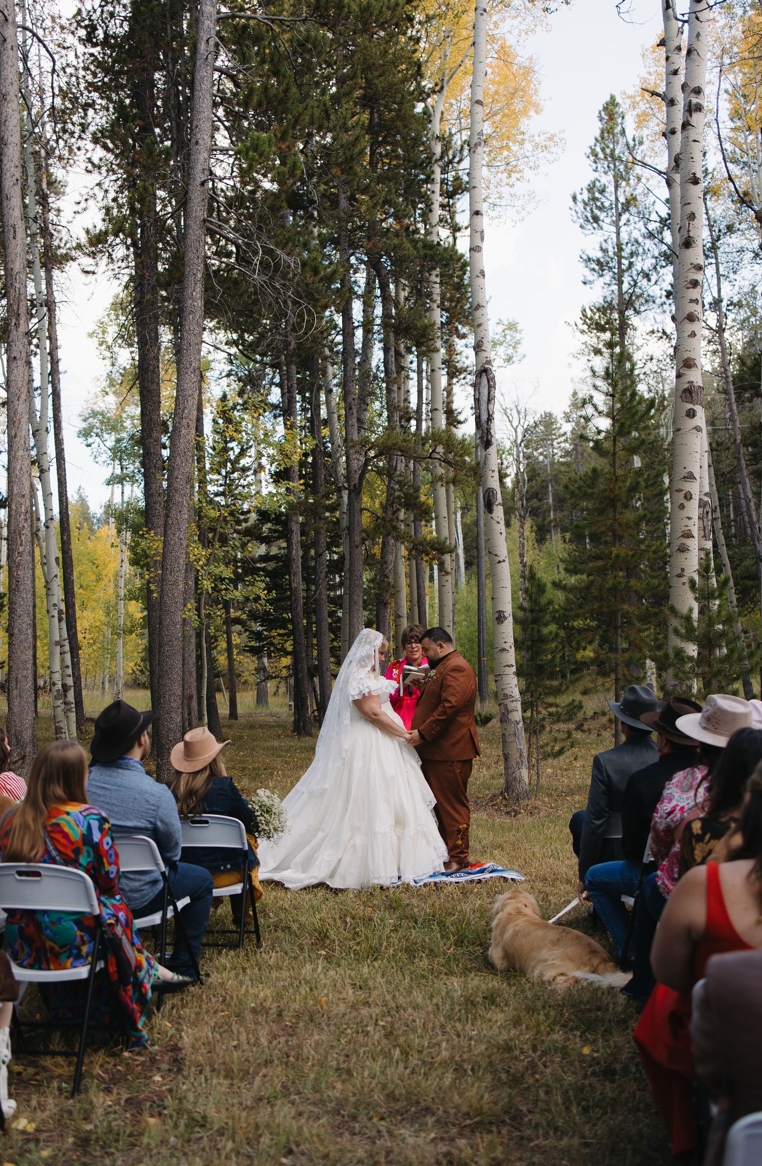 Outdoor forest wedding ceremony with guests seated among aspen and pine trees in autumn. Wyoming wedding