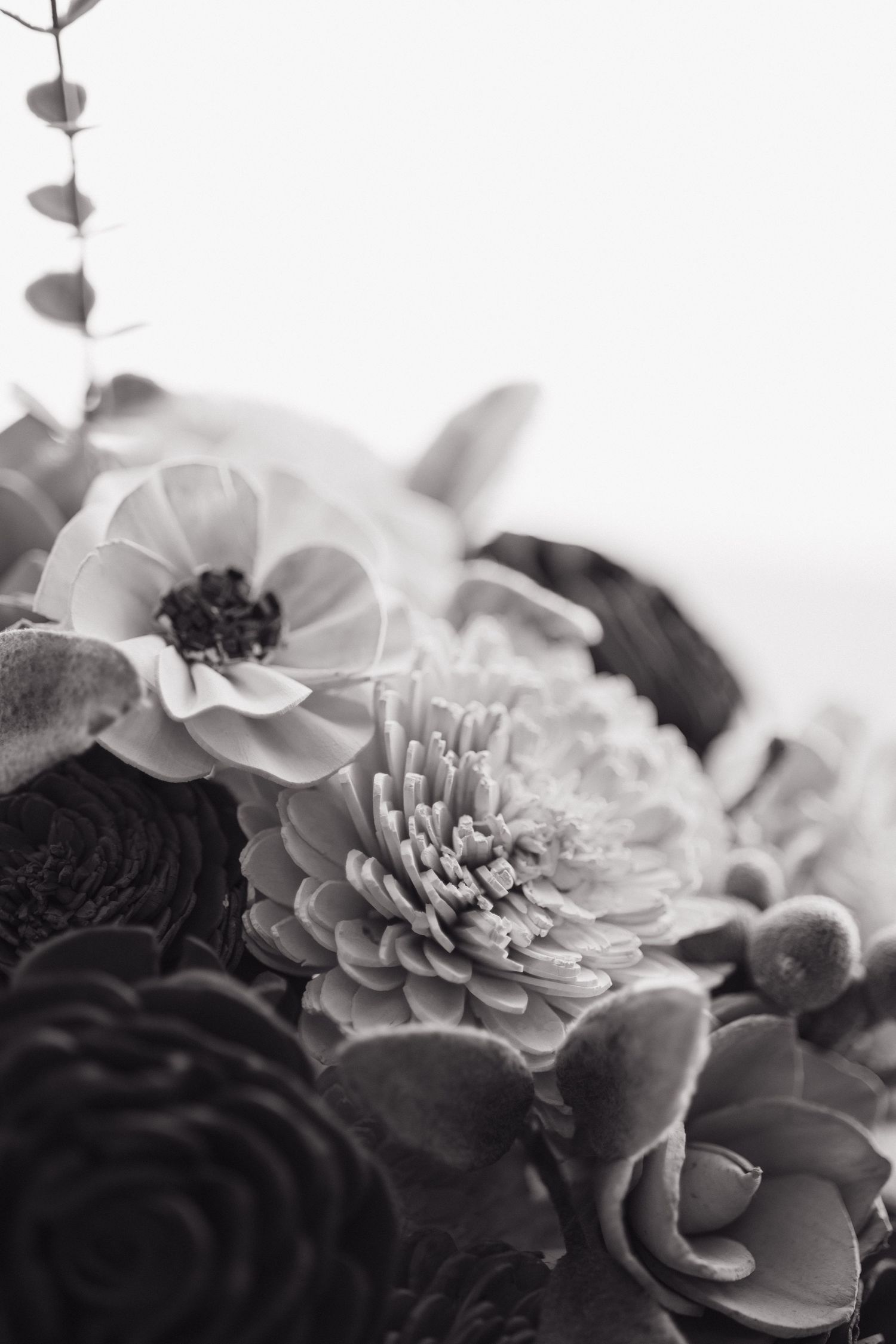 Black and white close-up of a wedding bouquet with dahlias, anemones, and succulents.