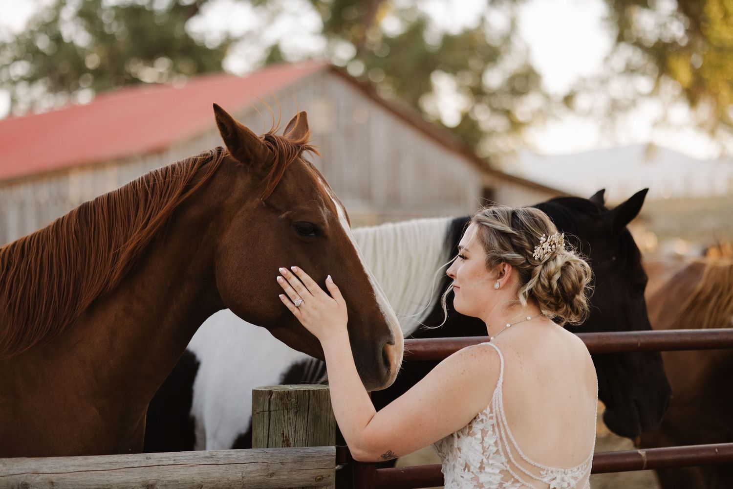 Bride in white lace dress gently pets a brown horse at a rustic farm wedding venue.