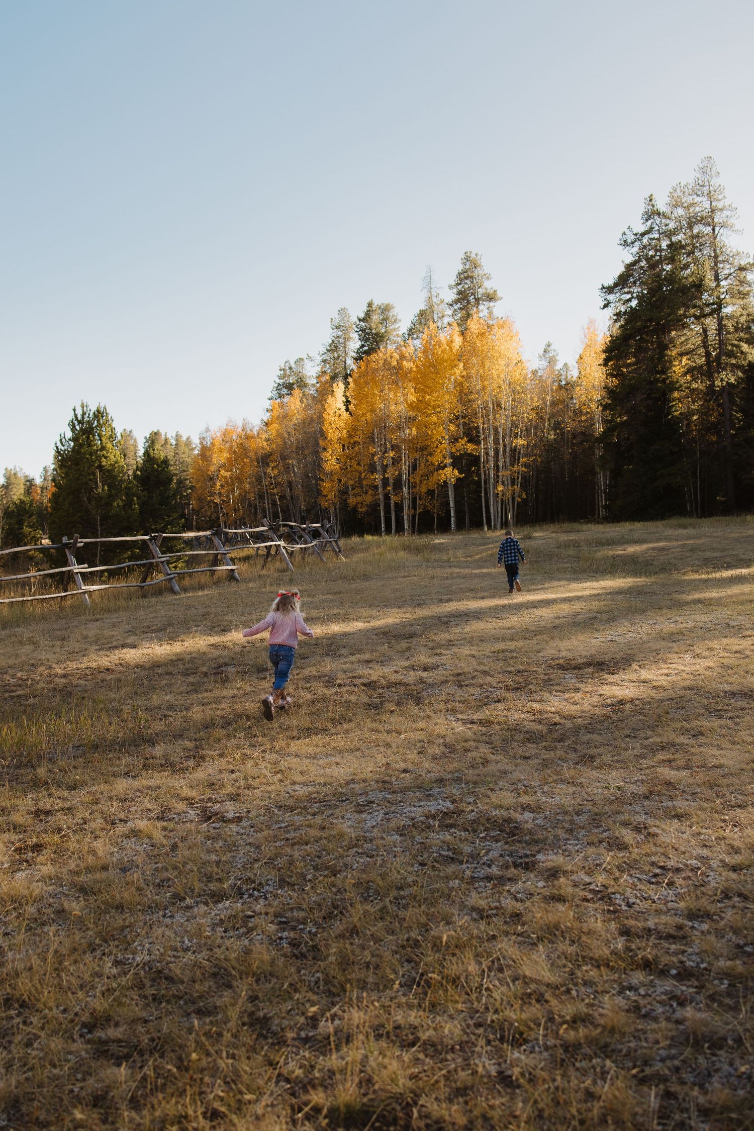 Two children running through an autumn meadow surrounded by golden aspen trees.