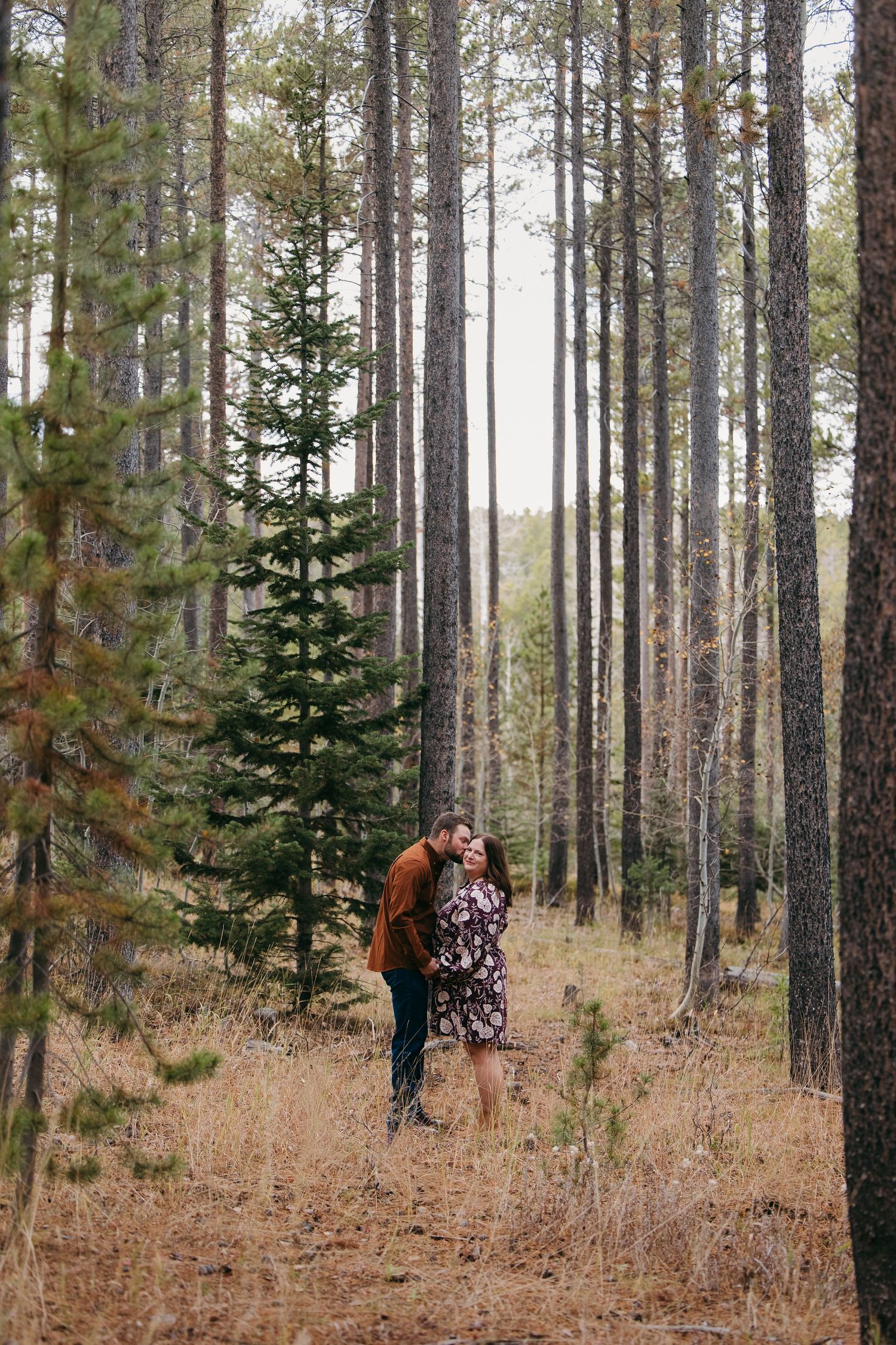 Couple shares a tender kiss surrounded by tall pine trees in autumn forest setting. Wyoming