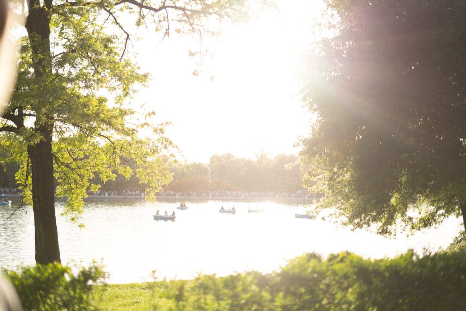 Serene sunlit park lake scene with rowboats on calm water surrounded by lush green trees.