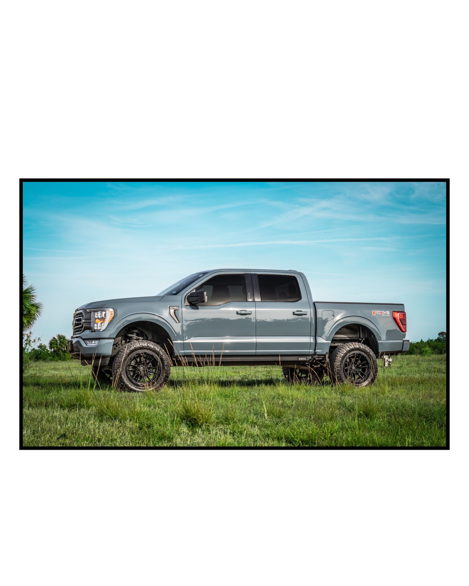 Silver lifted Ford F-150 truck with oversized tires parked in a green field under a blue sky.