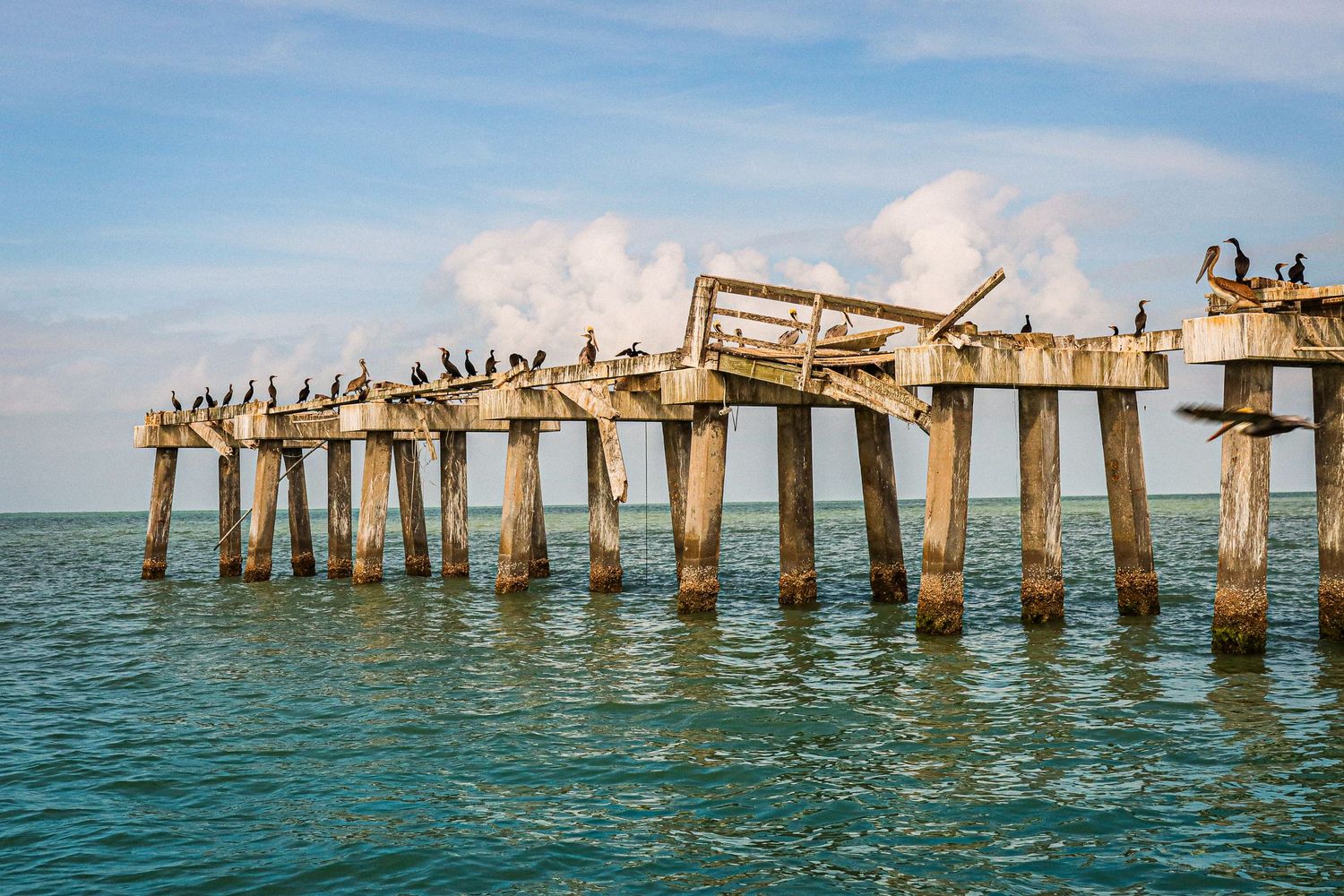 Naples Pier