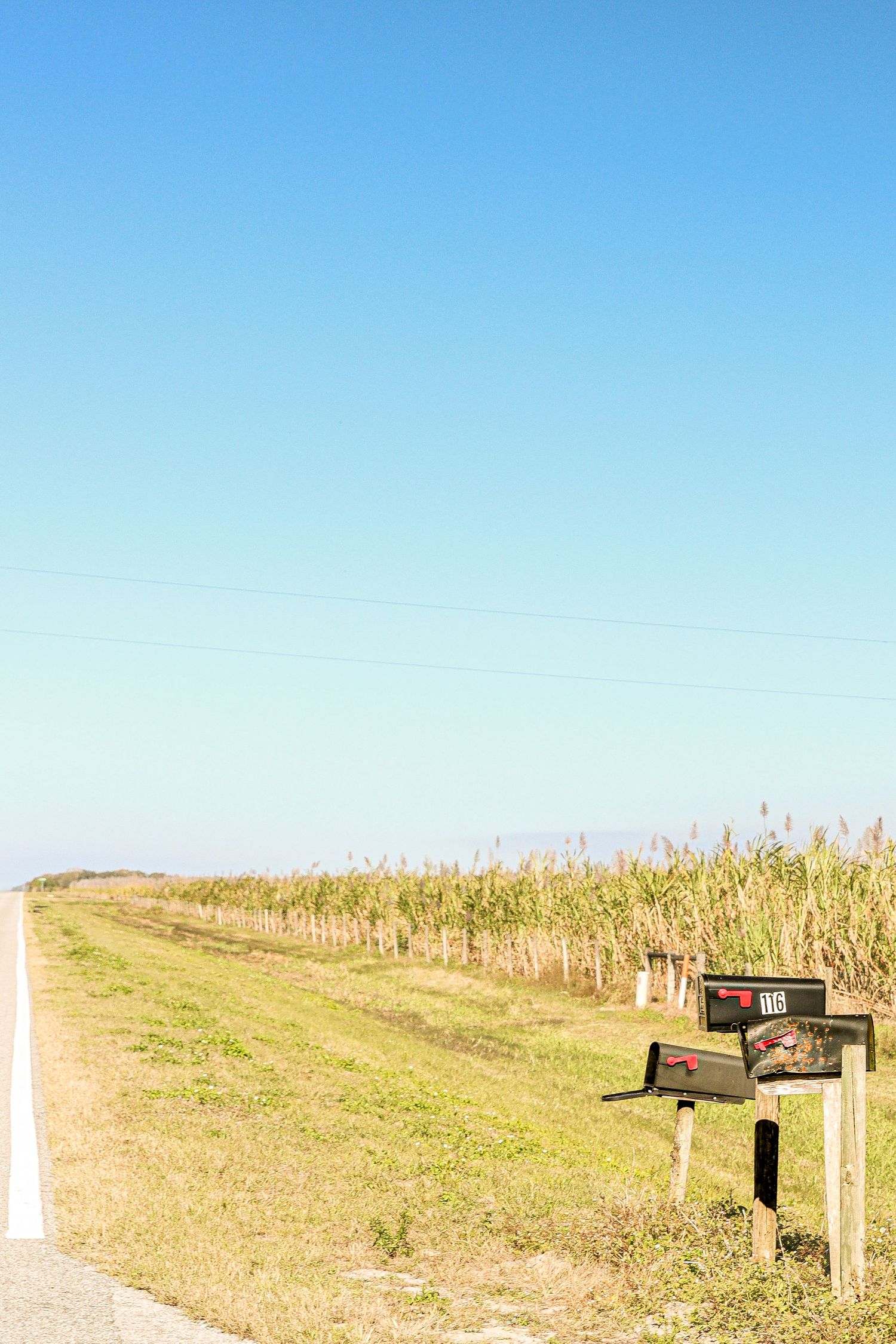 Immokalee Backroad