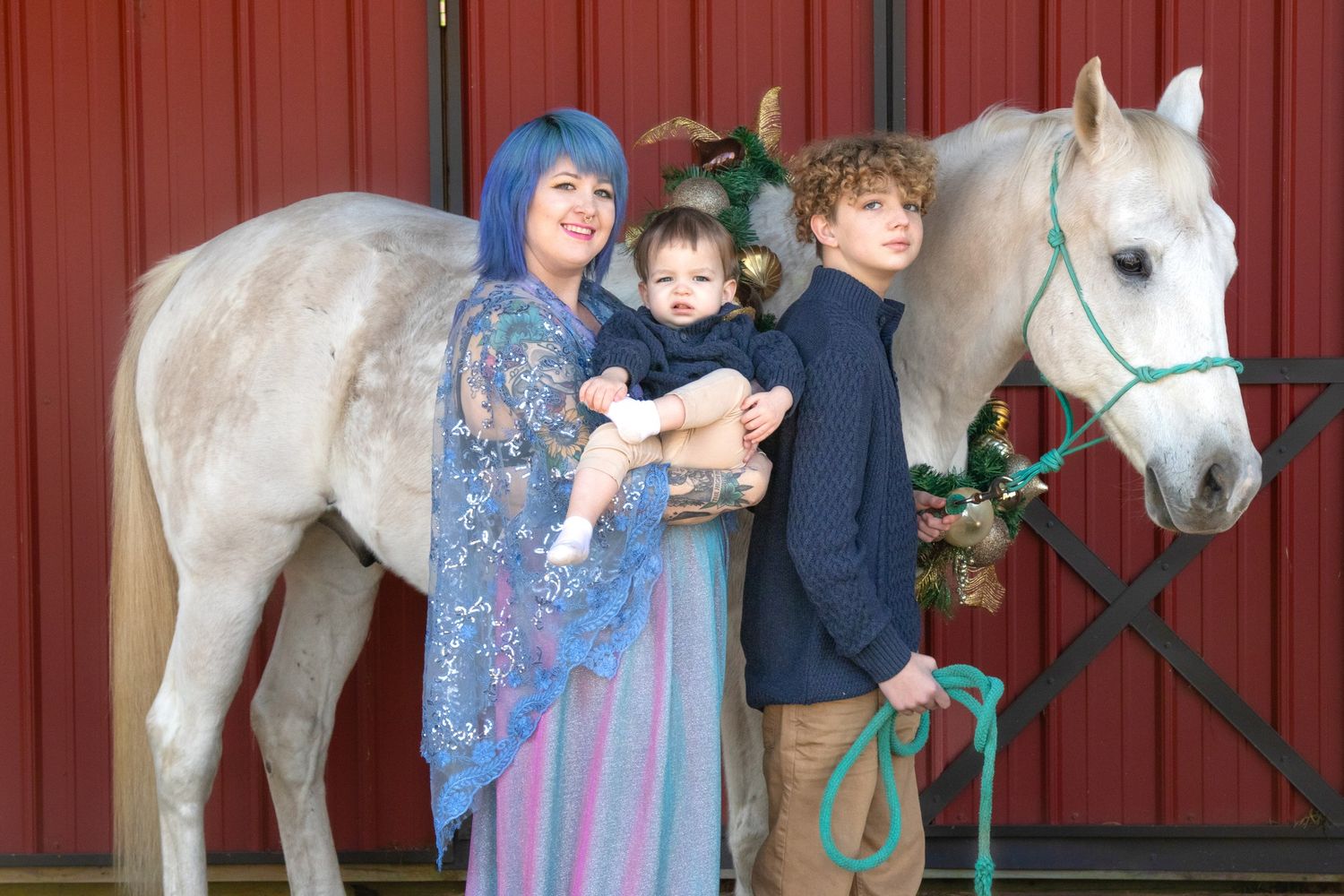 Equine photography | Equine portraits | Equine holiday portraits | Seasonal portraits