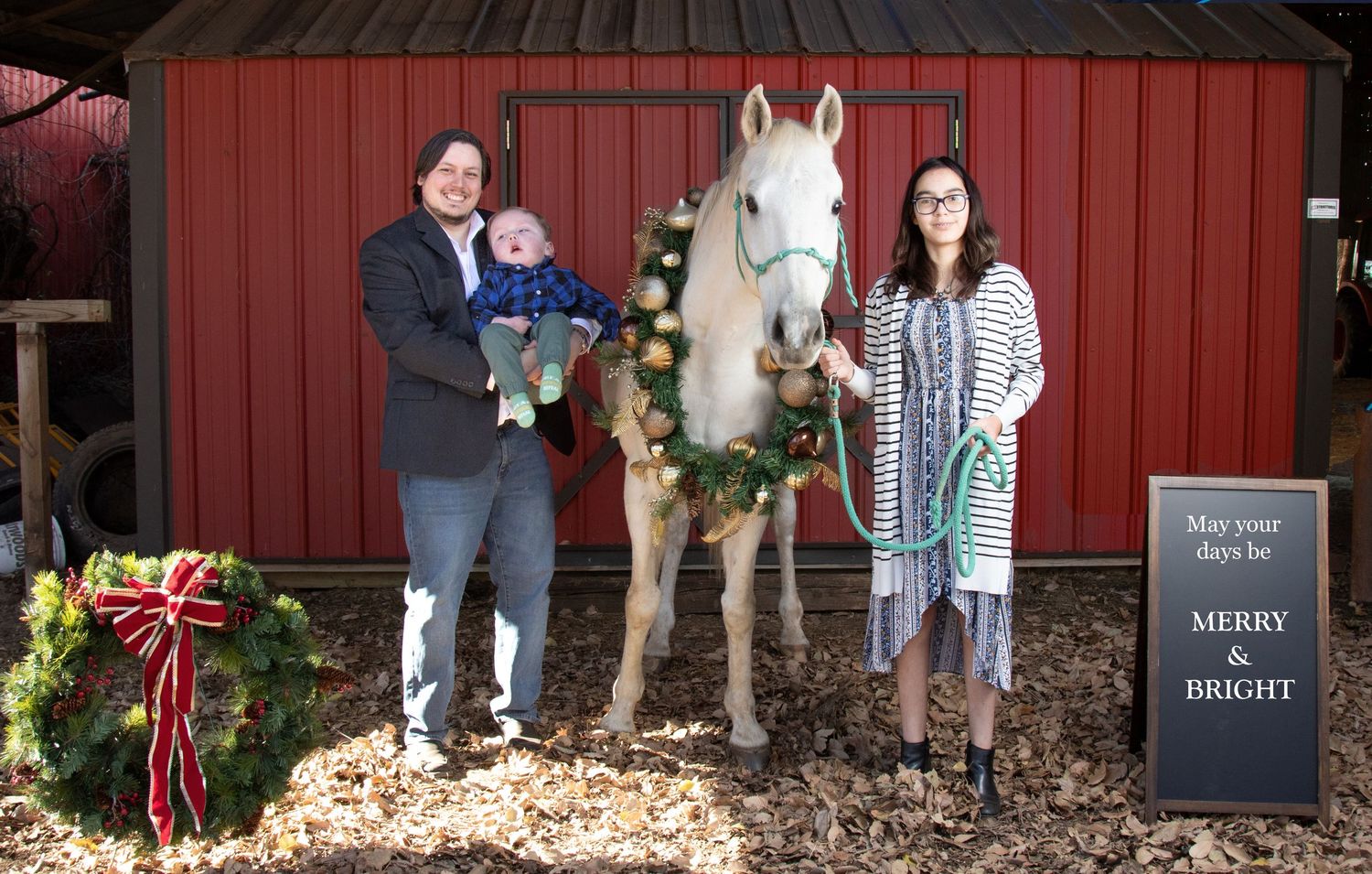 Equine photography | Equine portraits | Equine holiday portraits | Seasonal portraits