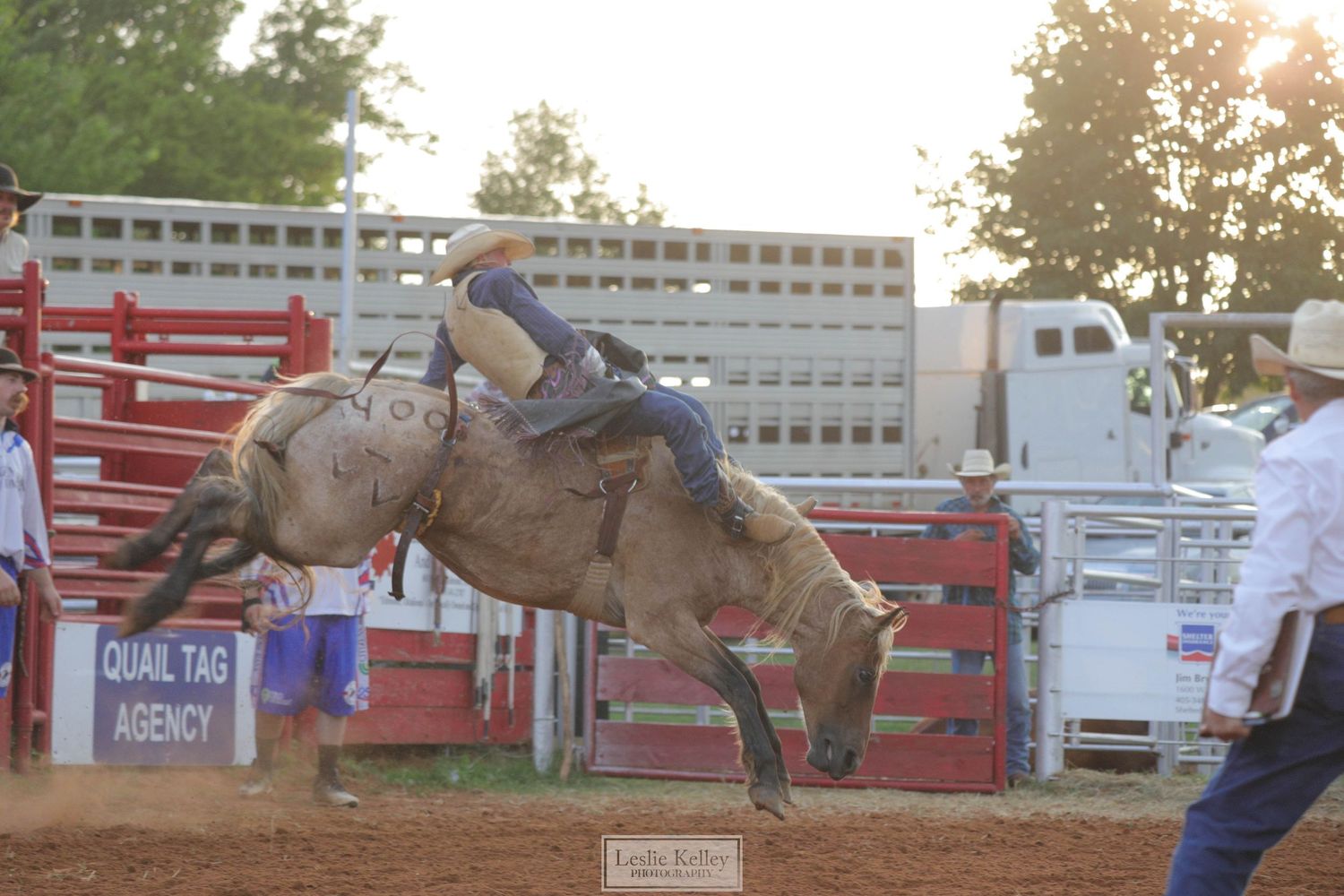 Rodeo | Oklahoma Rodeo