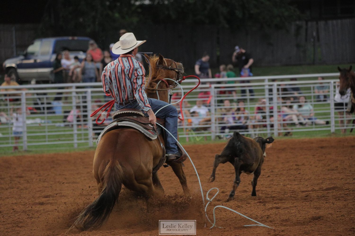Rodeo | Oklahoma Rodeo