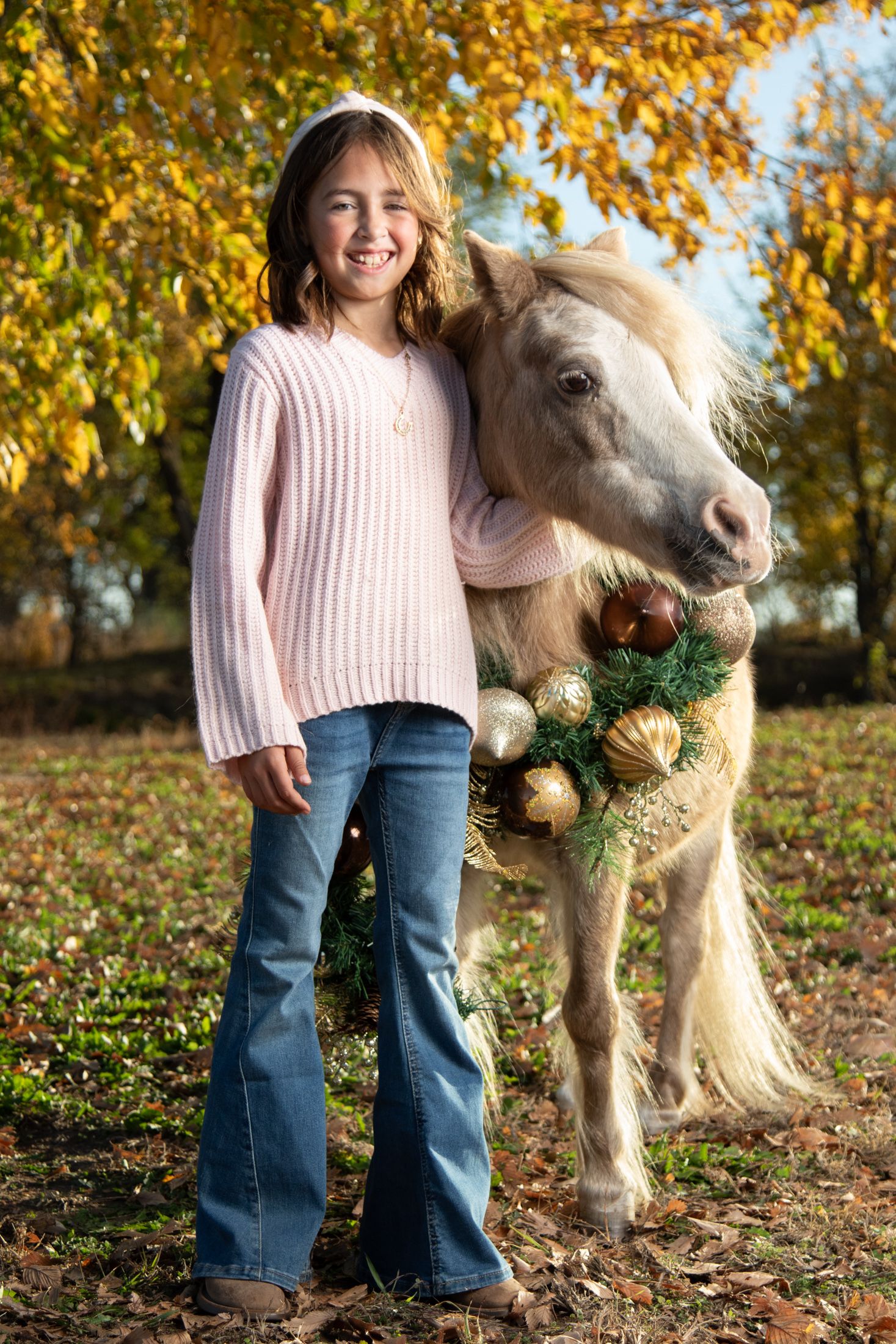 Equine photography | Equine portraits