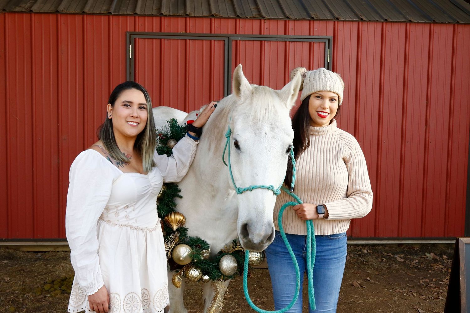 Equine photography | Equine portraits | Equine holiday portraits | Seasonal portraits