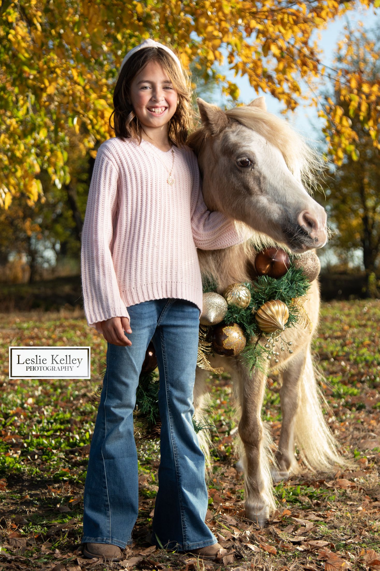 Equine photography | Equine portraits