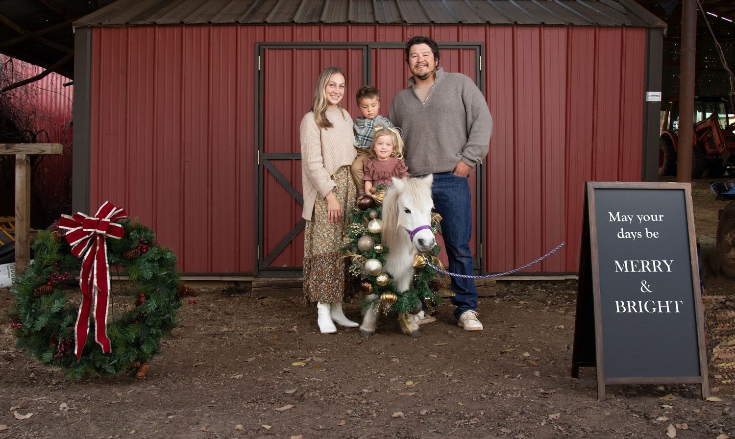 Equine photography | Equine portraits | Equine holiday portraits | Seasonal portraits