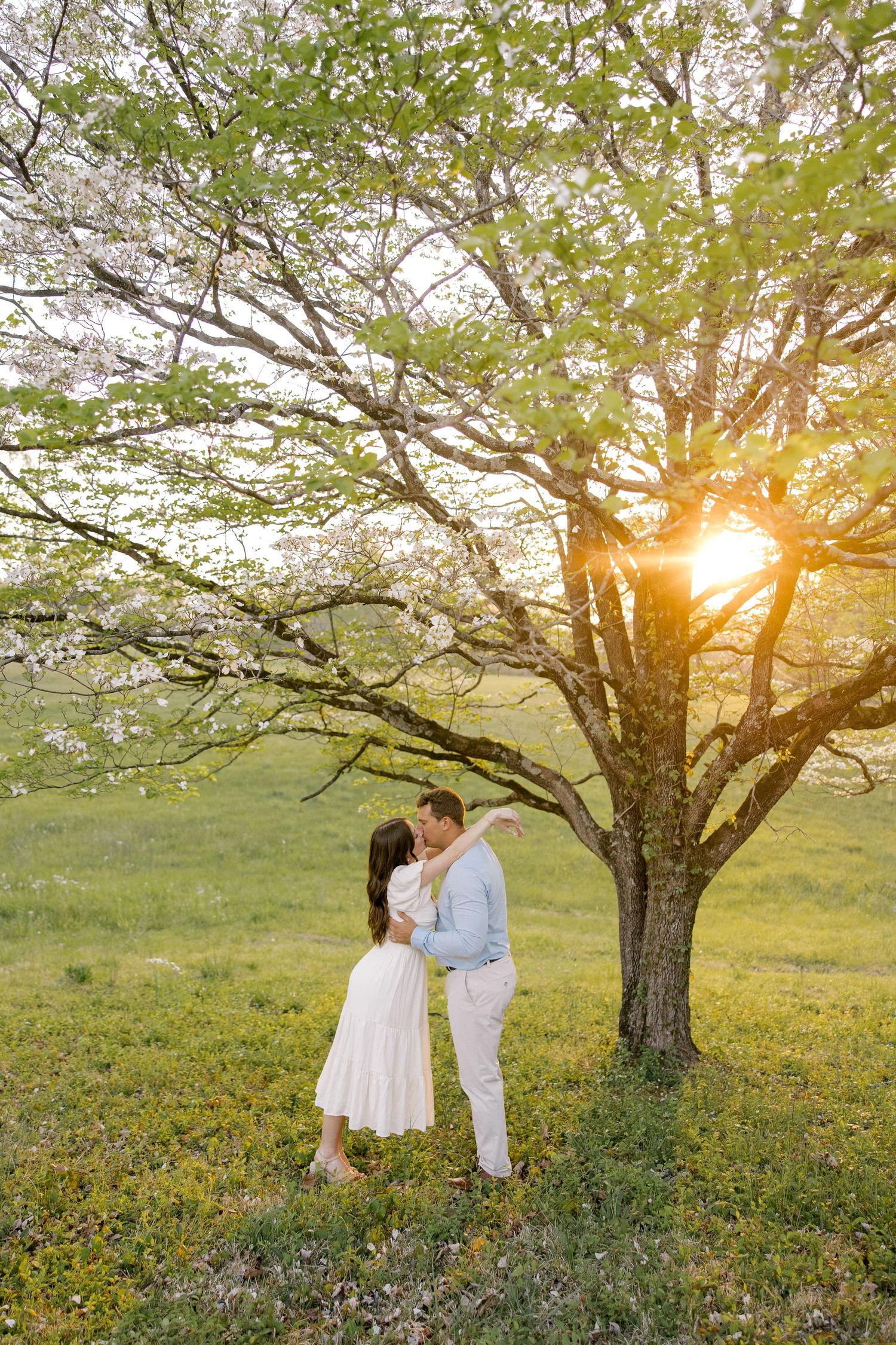 Sunset Engagement photos, flower trees, Classy Engagement photos, Olivia Merritt Photography