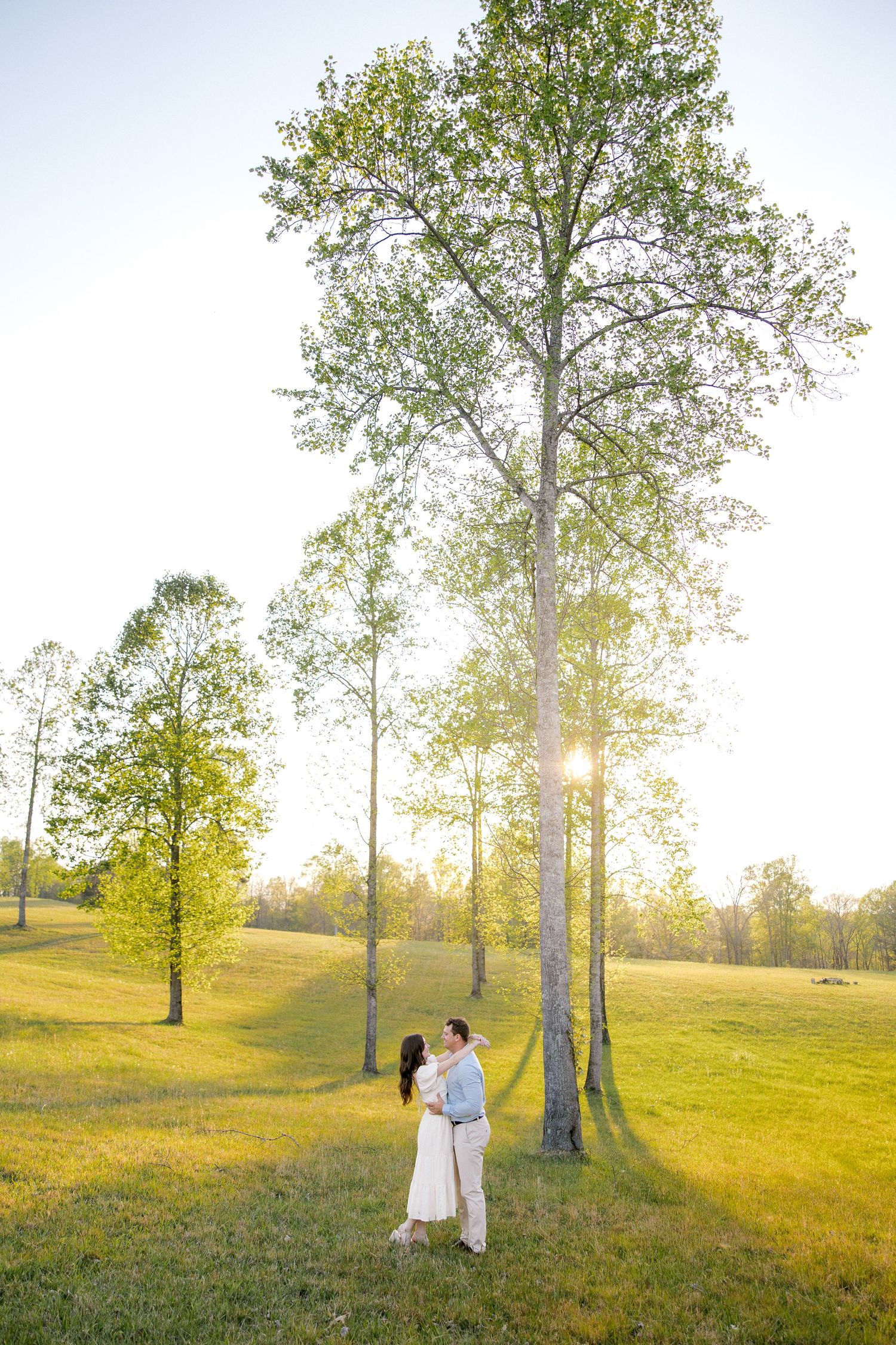 Couple in field with large trees, classy engagement photos, Olivia Merritt Photography