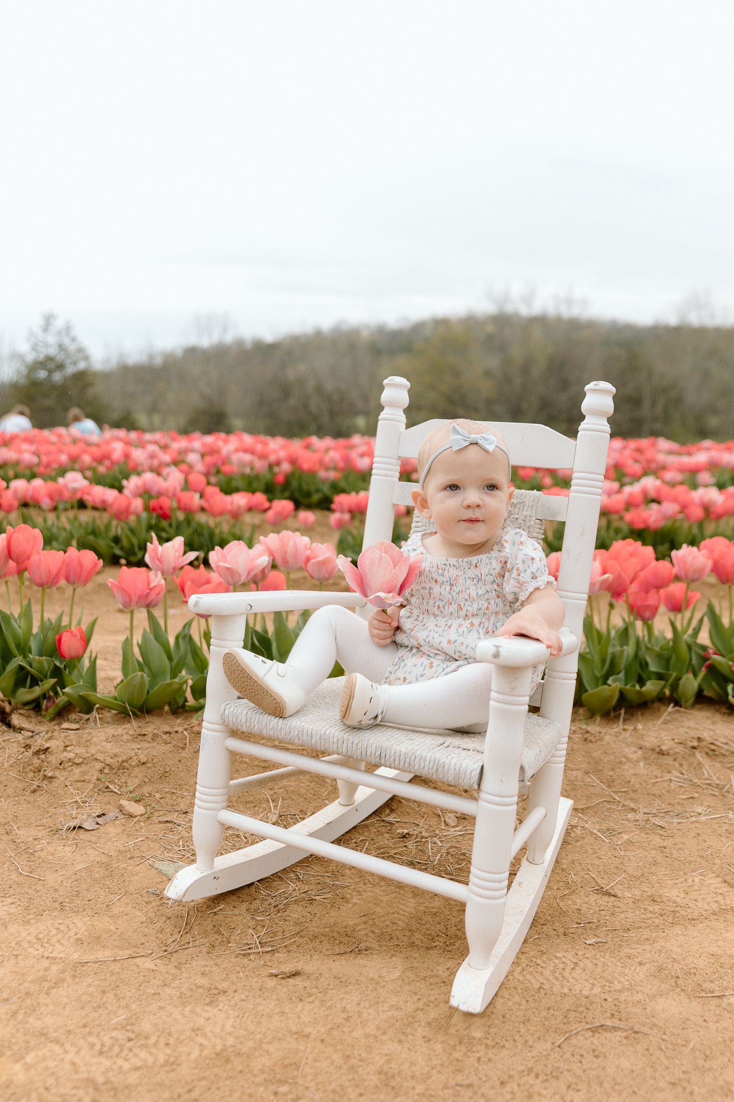 Cookeville TN Family and Portrait Photographer, Middle TN Wedding and Senior Photographer, Heirloom Portraits, Motherhood and Newborn