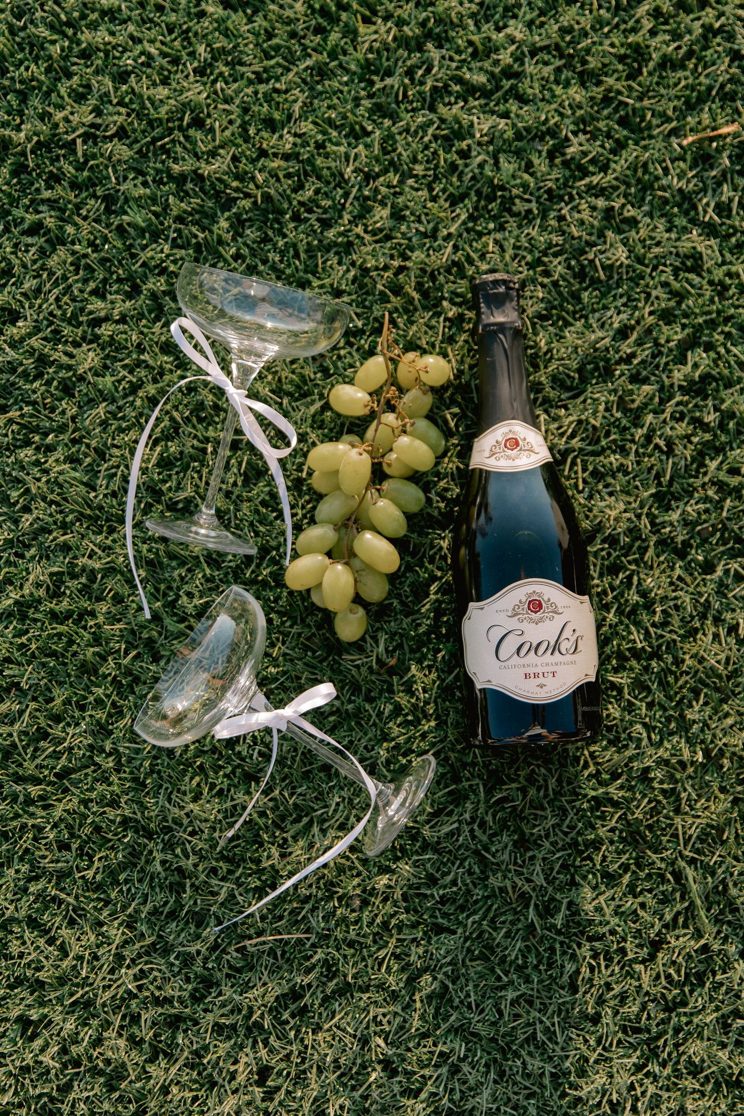 Cook's Brut champagne bottle with two glasses and green grapes on lush grass for an outdoor celebration.