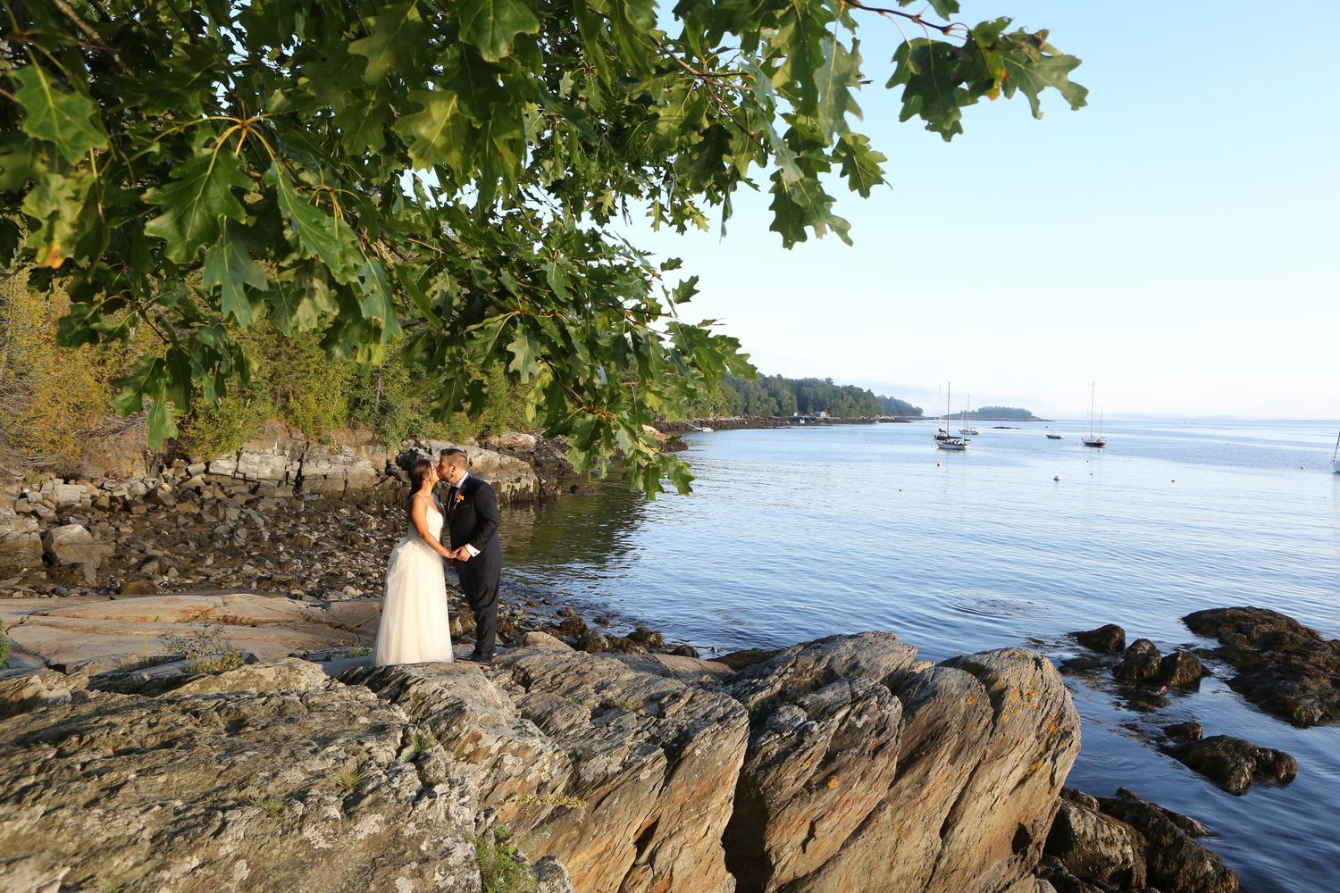 Scenic coastal landscape with rocky shore and trees overlooking calm ocean waters.