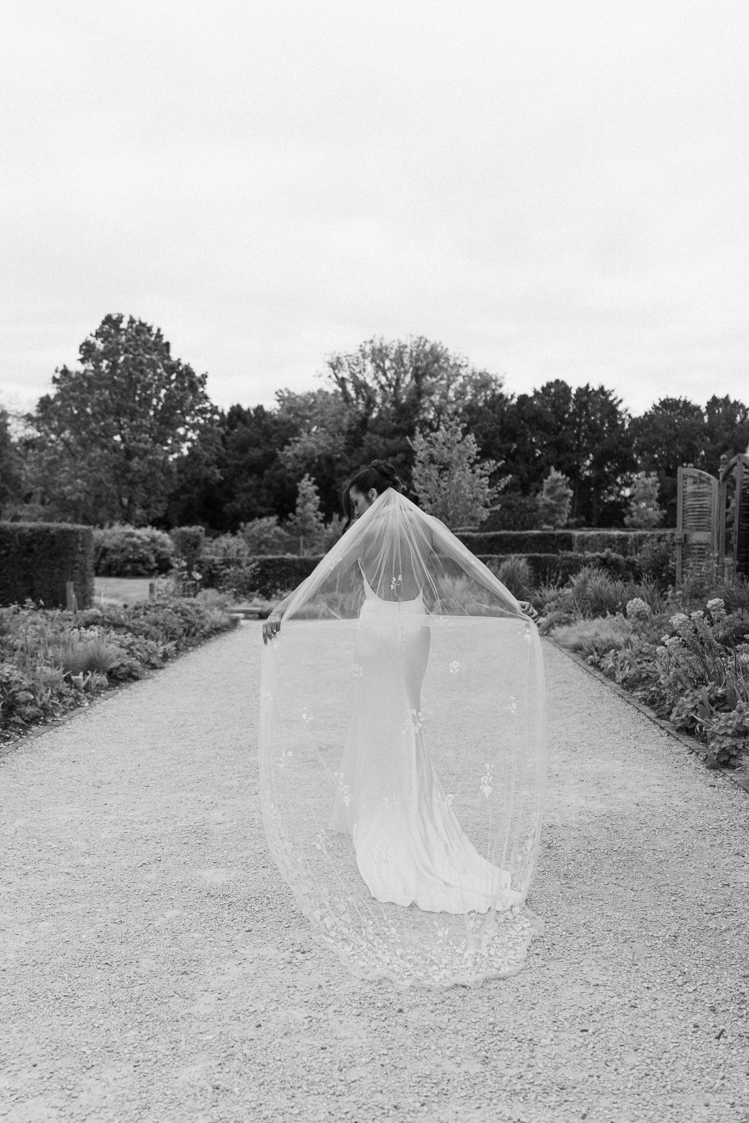 Black and white photo of bride in wedding gown with veil billowing overhead on garden pathway surrounded by hedges.