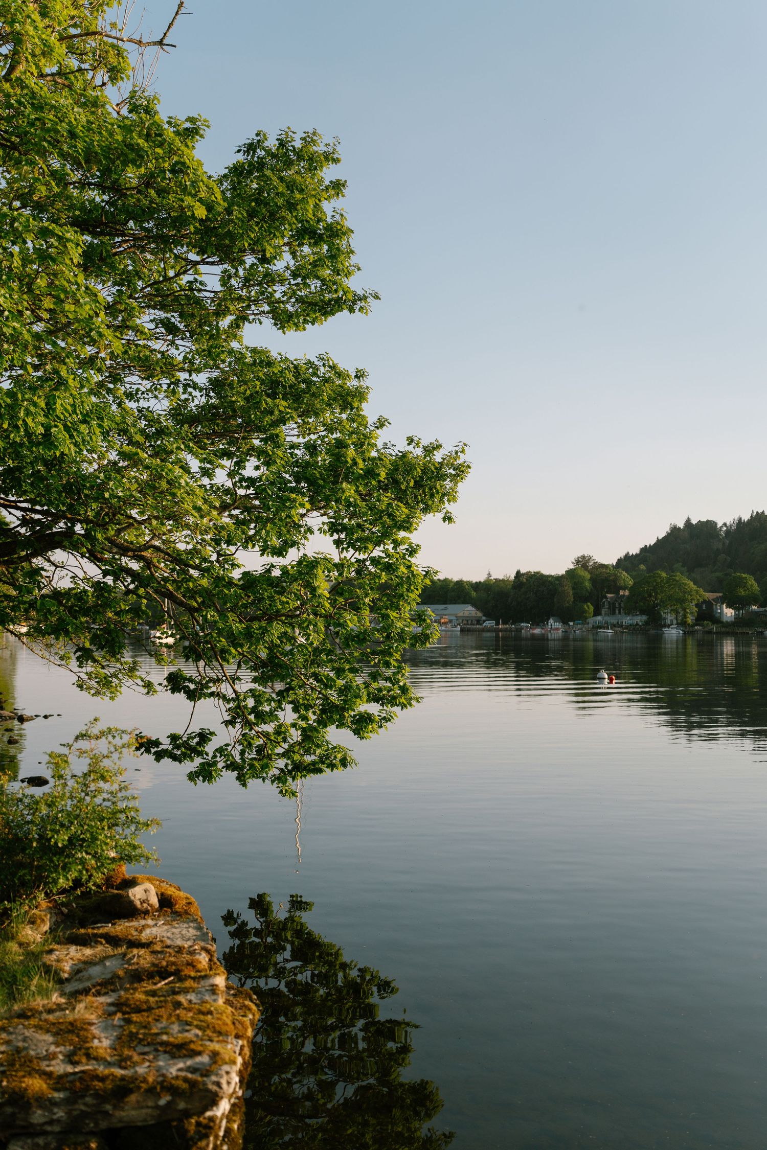 Panoramic view of a tranquil lake surrounded by green trees and rocky shoreline.